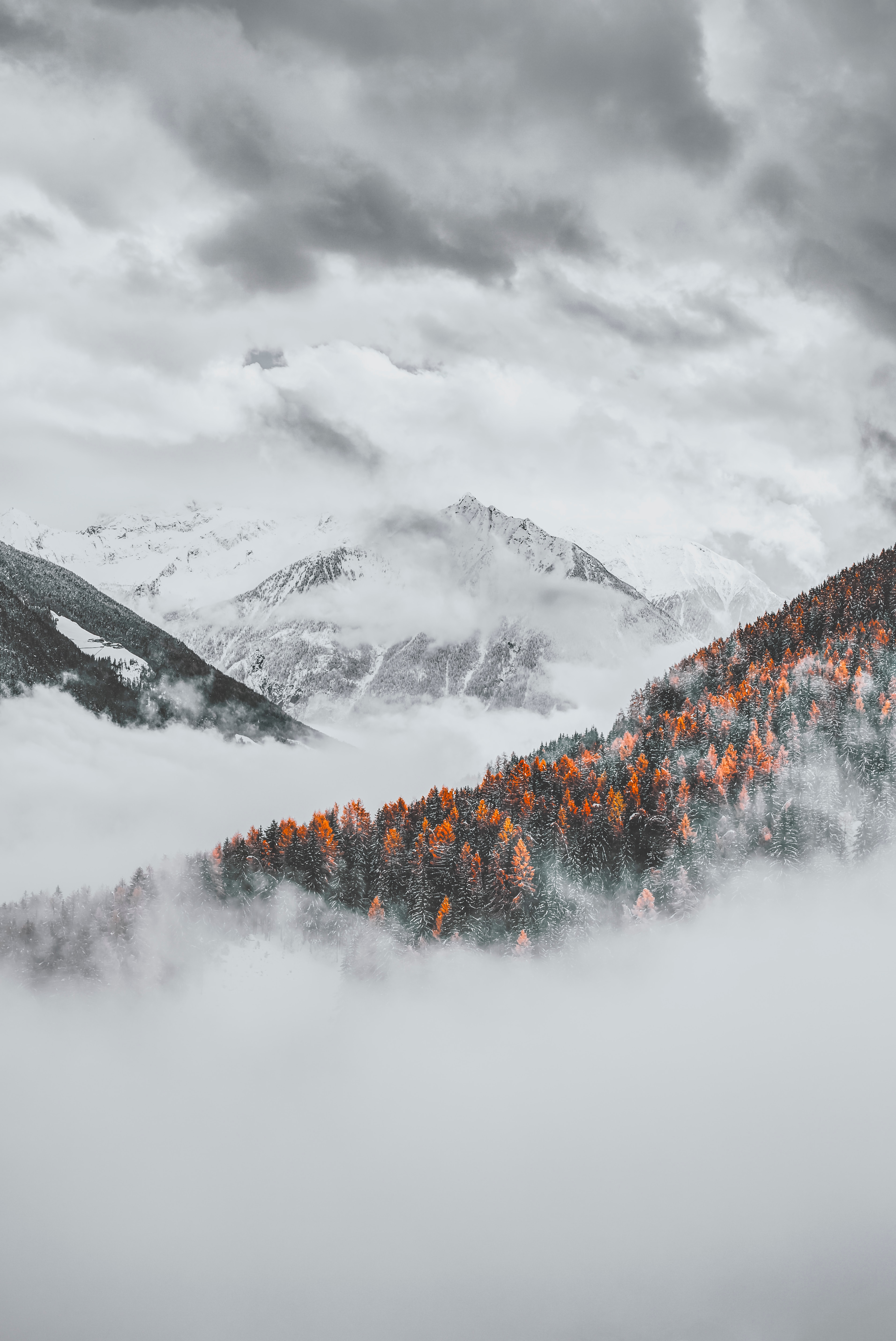 Descarga gratuita de fondo de pantalla para móvil de Bosque, Naturaleza, Nubes, Cubierto De Nieve, Nevado, Montañas, Paisaje.