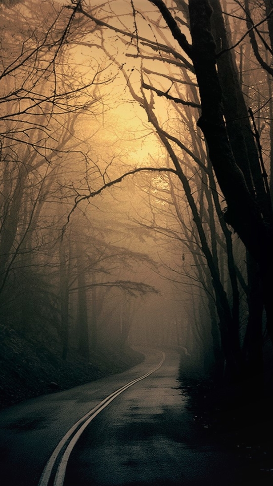 Descarga gratuita de fondo de pantalla para móvil de Noche, Oscuro, Bosque, Carretera, La Carretera.