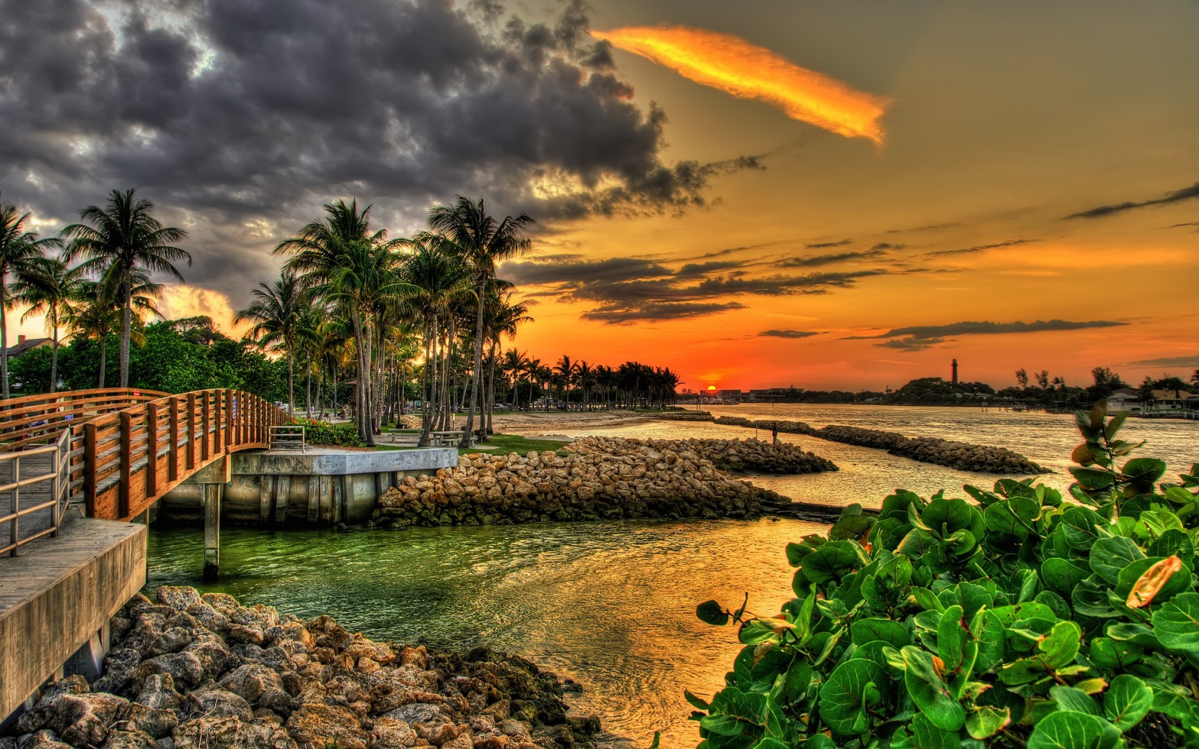 palms, clouds, landscape, sunset, sea HD wallpaper