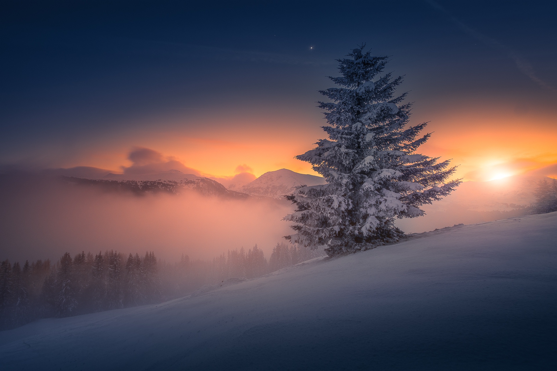 Скачать картинку Зима, Природа, Закат, Снег, Дерево, Австрия, Земля/природа в телефон бесплатно.
