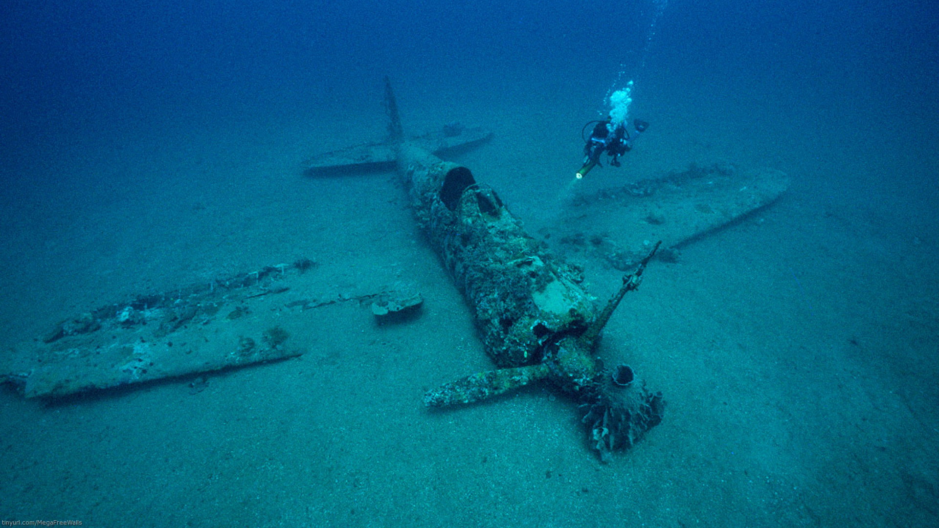 vehicles, wreck, aircraft, airplane, diver, military, underwater