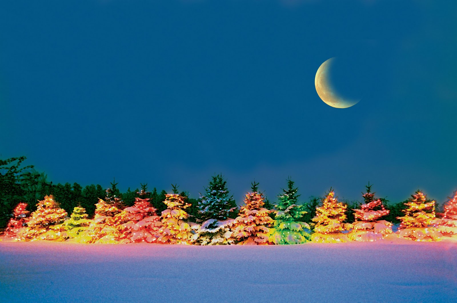 Free download wallpaper Night, Moon, Light, Tree, Christmas, Holiday, Colors, Christmas Tree on your PC desktop