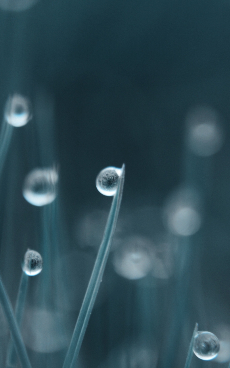 Download mobile wallpaper Earth, Water Drop for free.