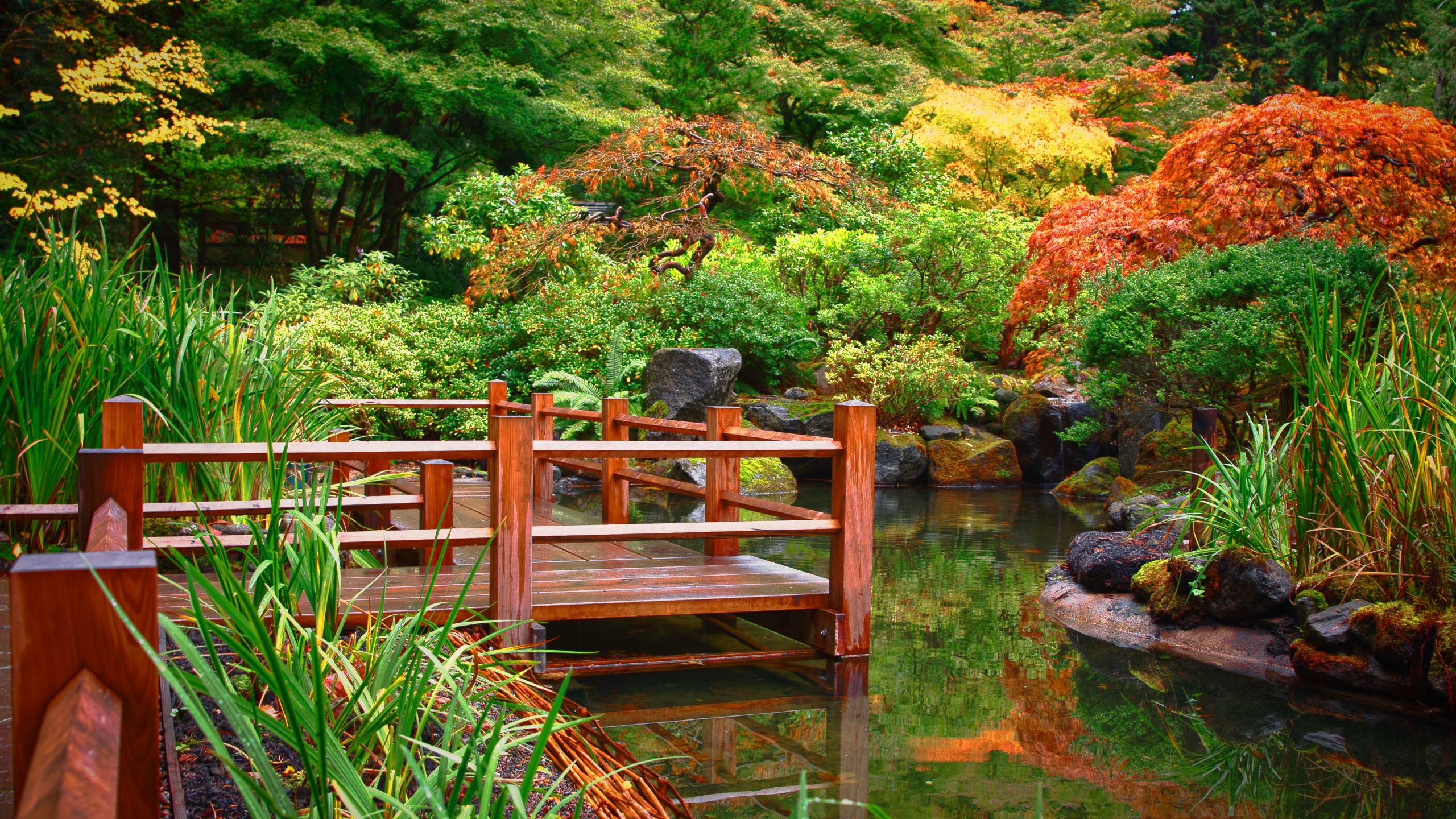 Скачать картинку Вода, Зелень, Сад, Сделано Человеком, Японский Сад в телефон бесплатно.