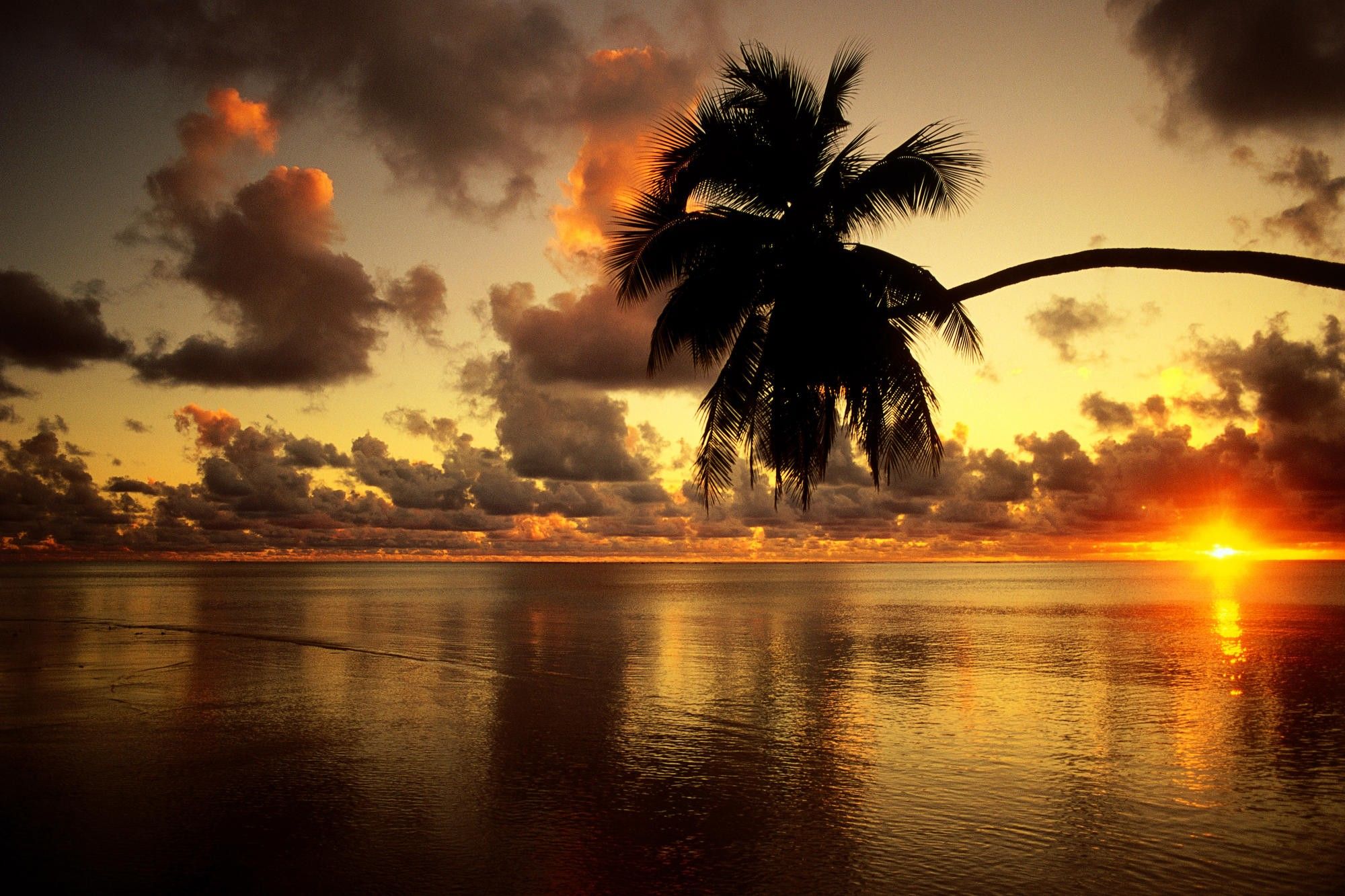 Скачать картинку Тропический, Земля/природа, Закат Солнца в телефон бесплатно.