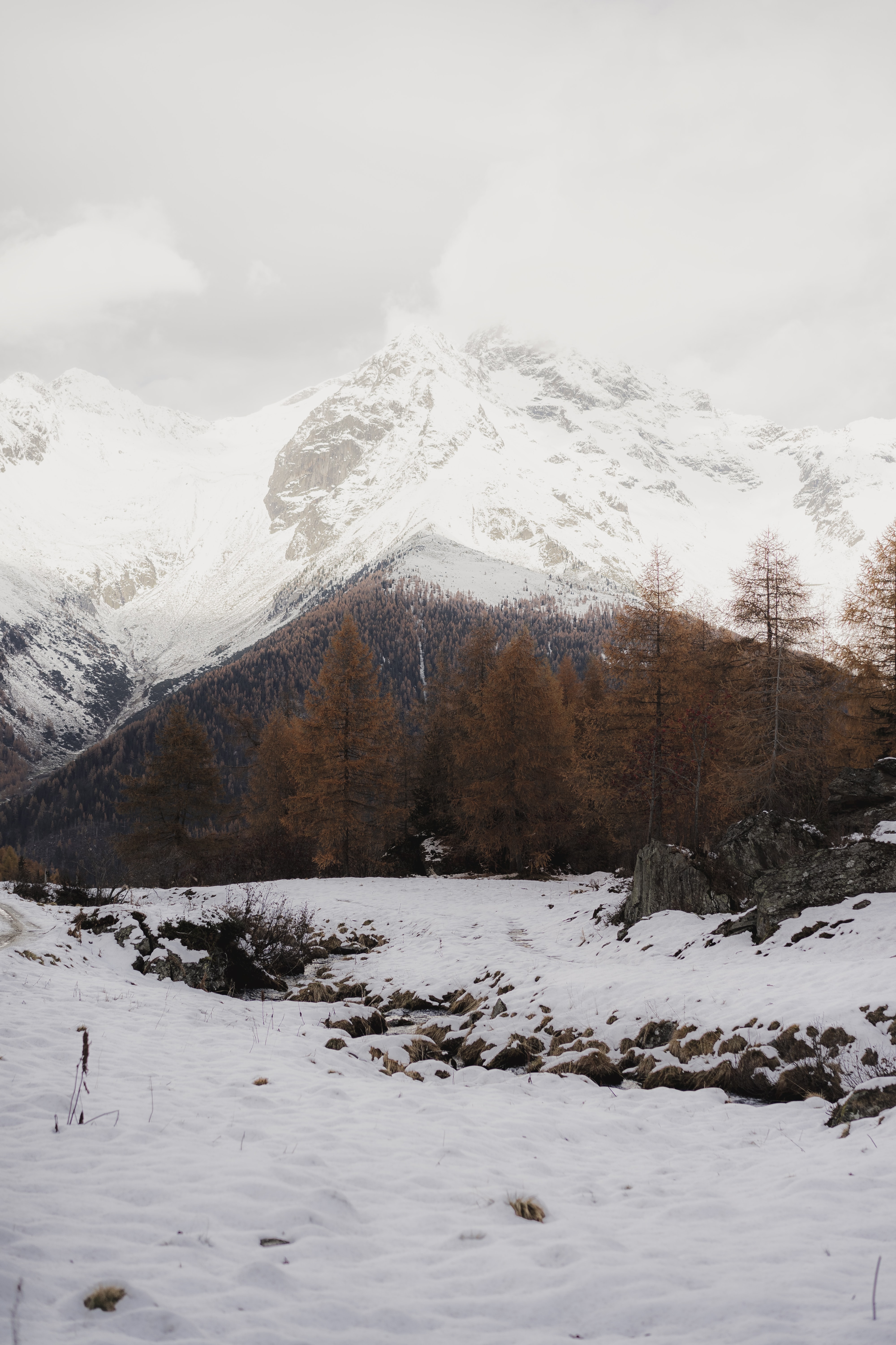 nature, landscape, winter, trees, snow, mountain, snow covered, snowbound UHD