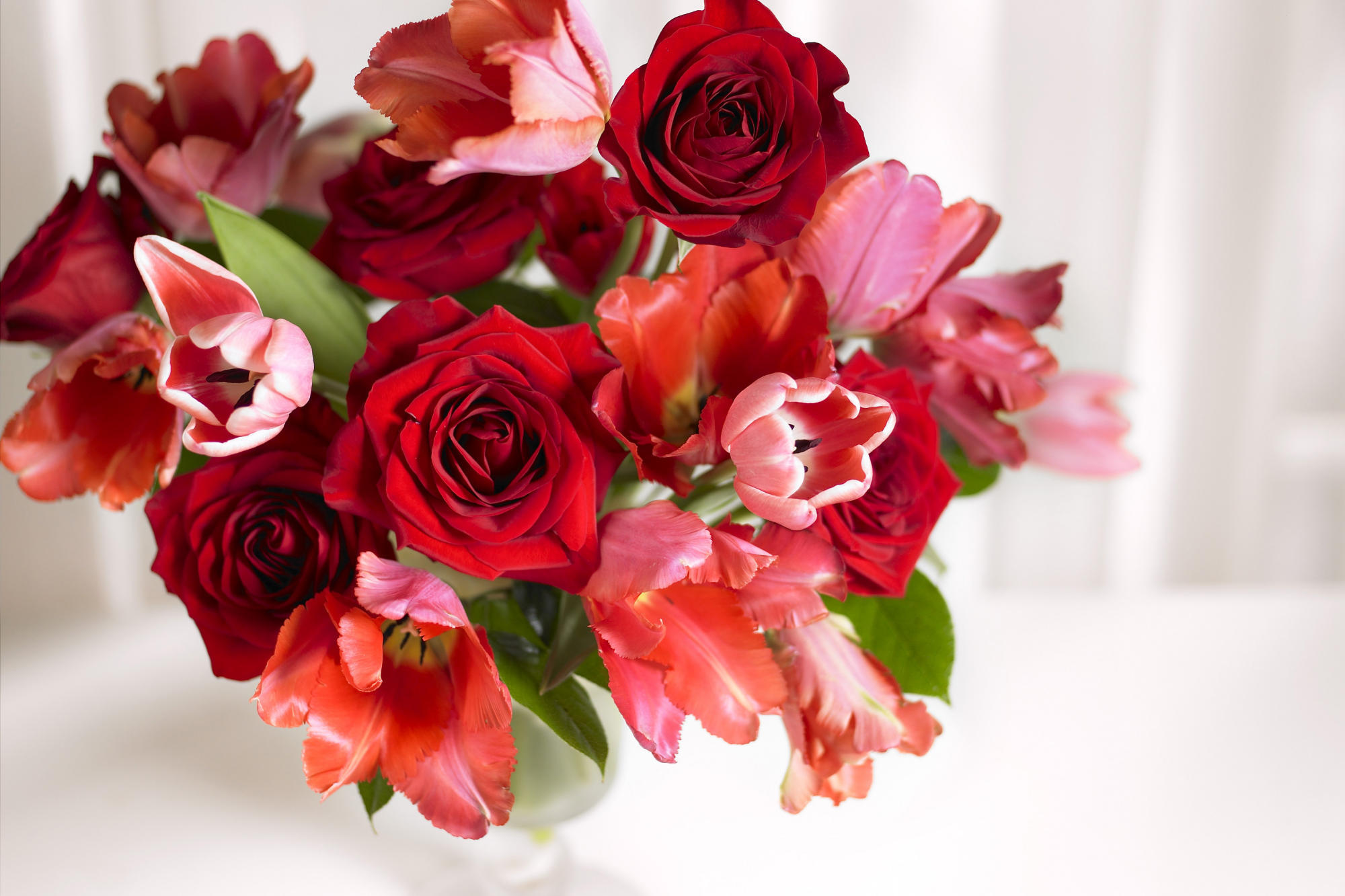 Скачать обои бесплатно Растения, Цветы, Розы, Тюльпаны картинка на рабочий стол ПК