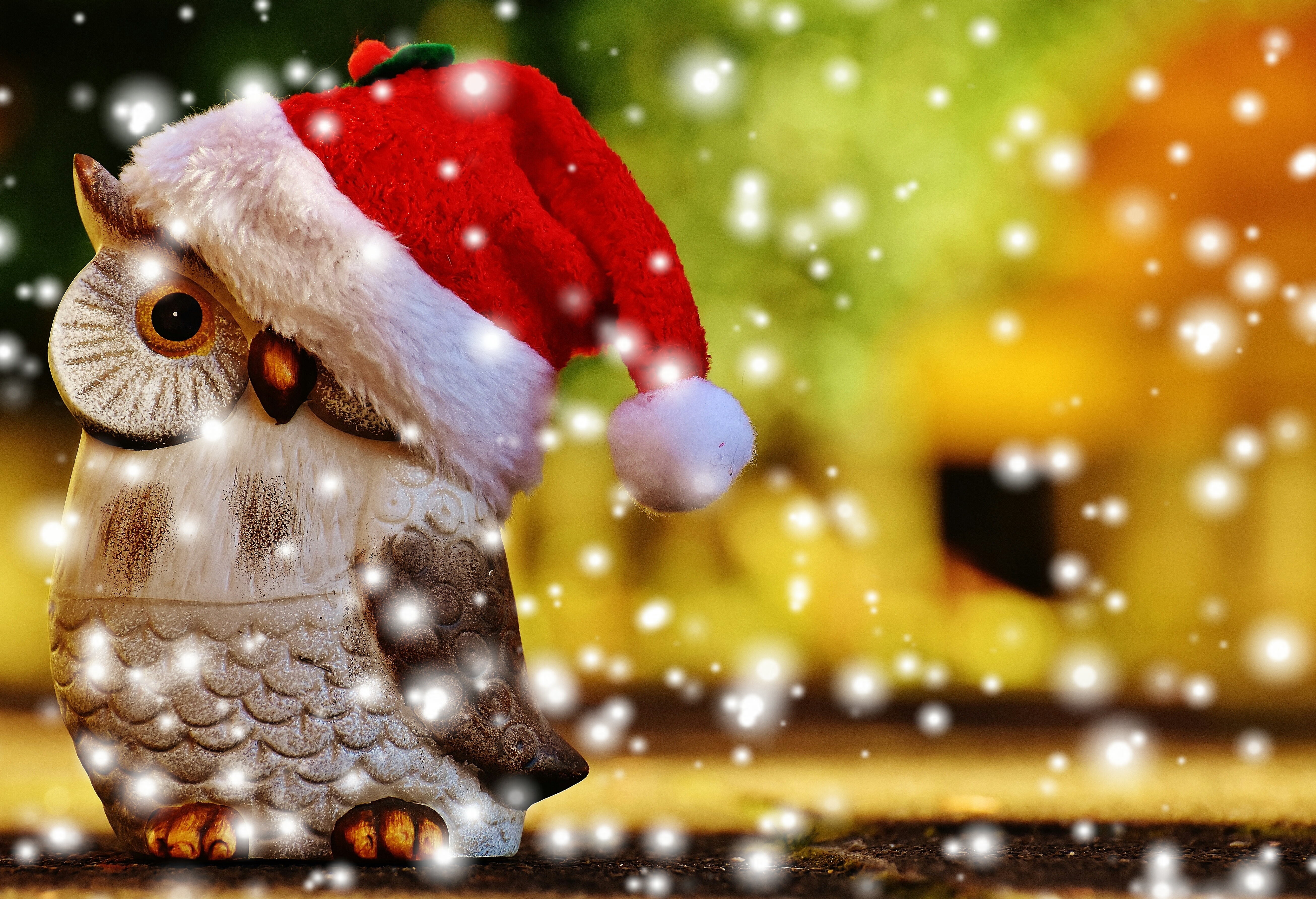 PCデスクトップにフクロウ, クリスマス, ホリデー, サンタハット画像を無料でダウンロード
