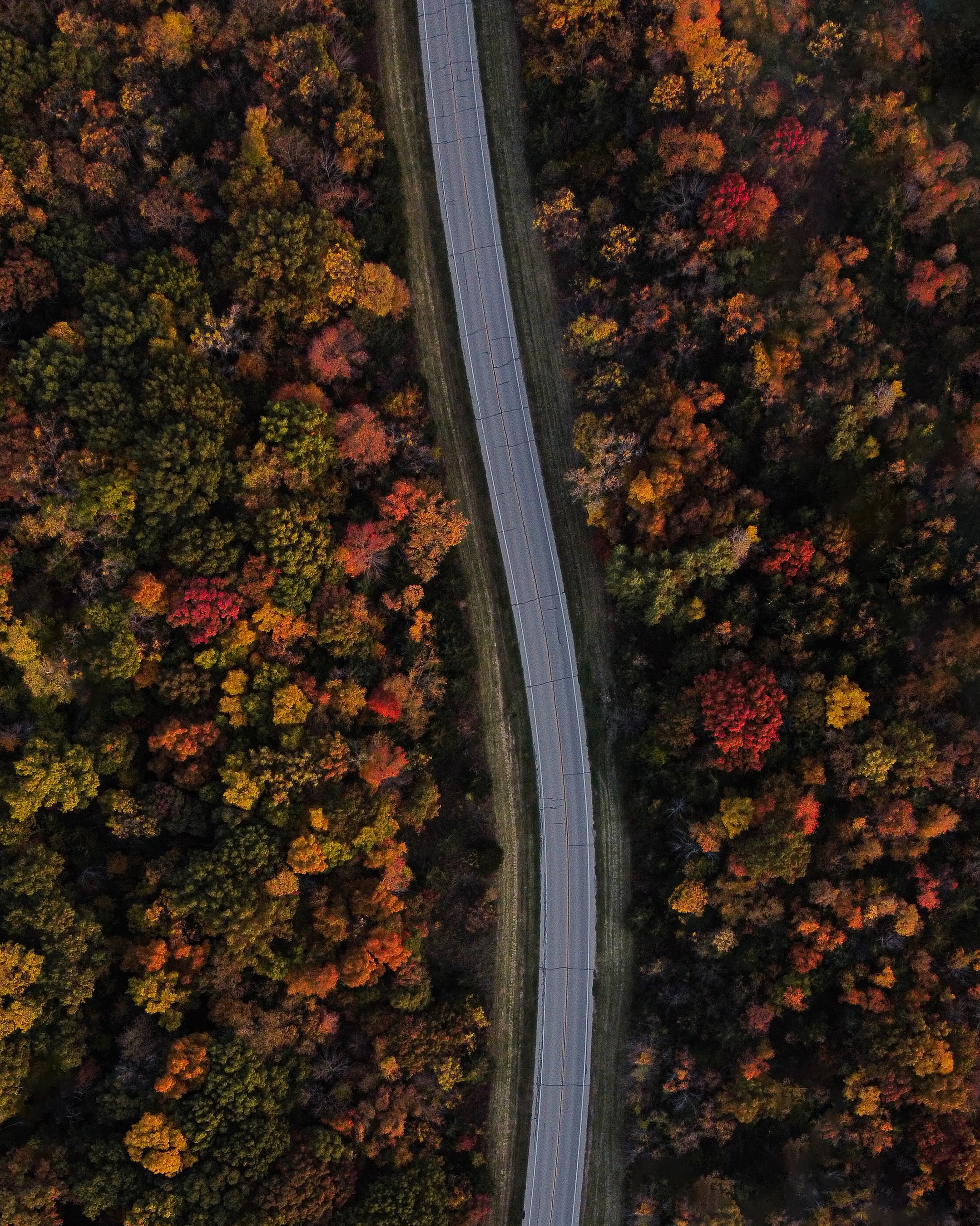 Download mobile wallpaper Road, View From Above, Forest, Nature for free.
