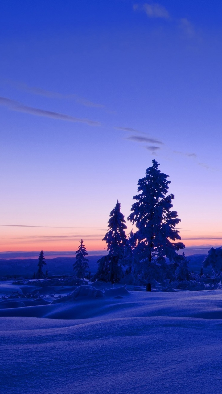 Descarga gratuita de fondo de pantalla para móvil de Invierno, Árbol, Tierra/naturaleza, Tardecita.