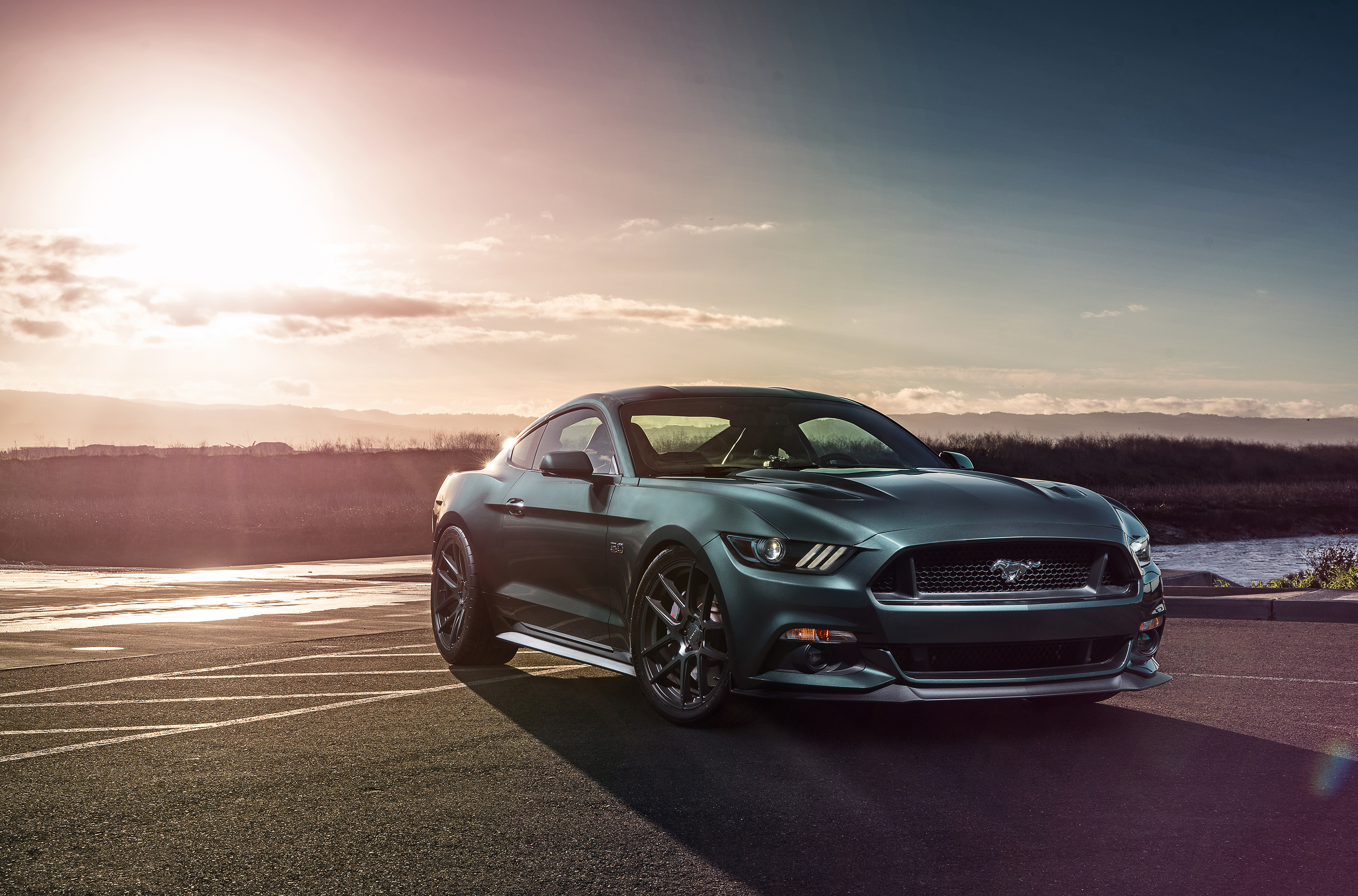 Free download wallpaper Ford, Car, Ford Mustang, Sunflower, Muscle Car, Ford Mustang Gt, Vehicles on your PC desktop