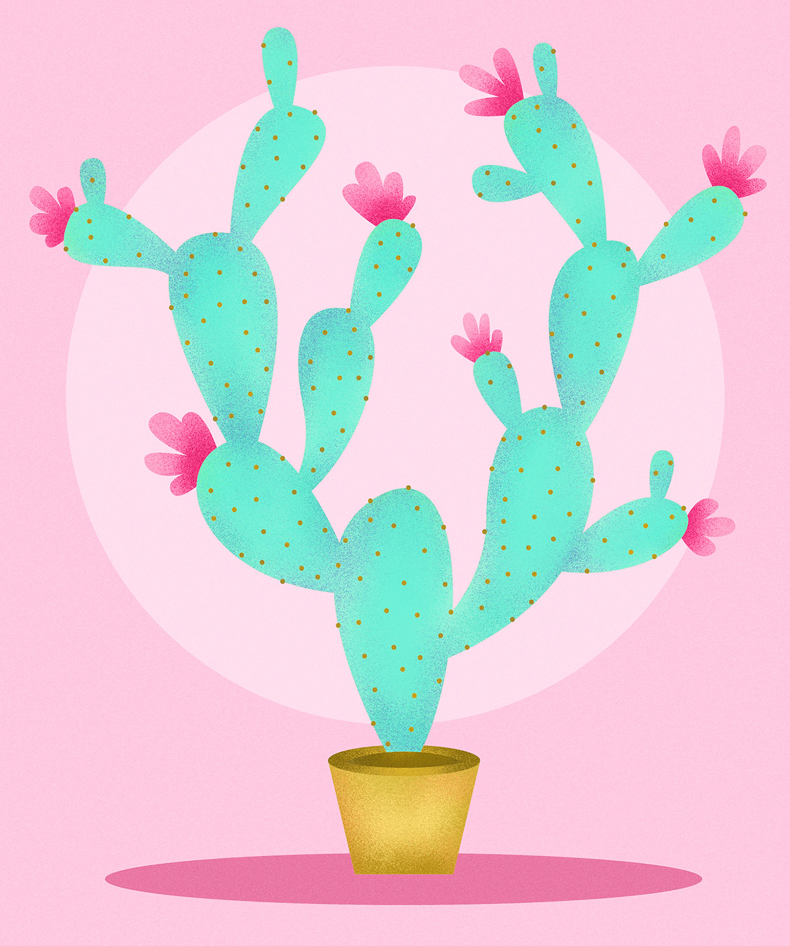 Free download wallpaper Flowers, Pink, Cactus, Art on your PC desktop