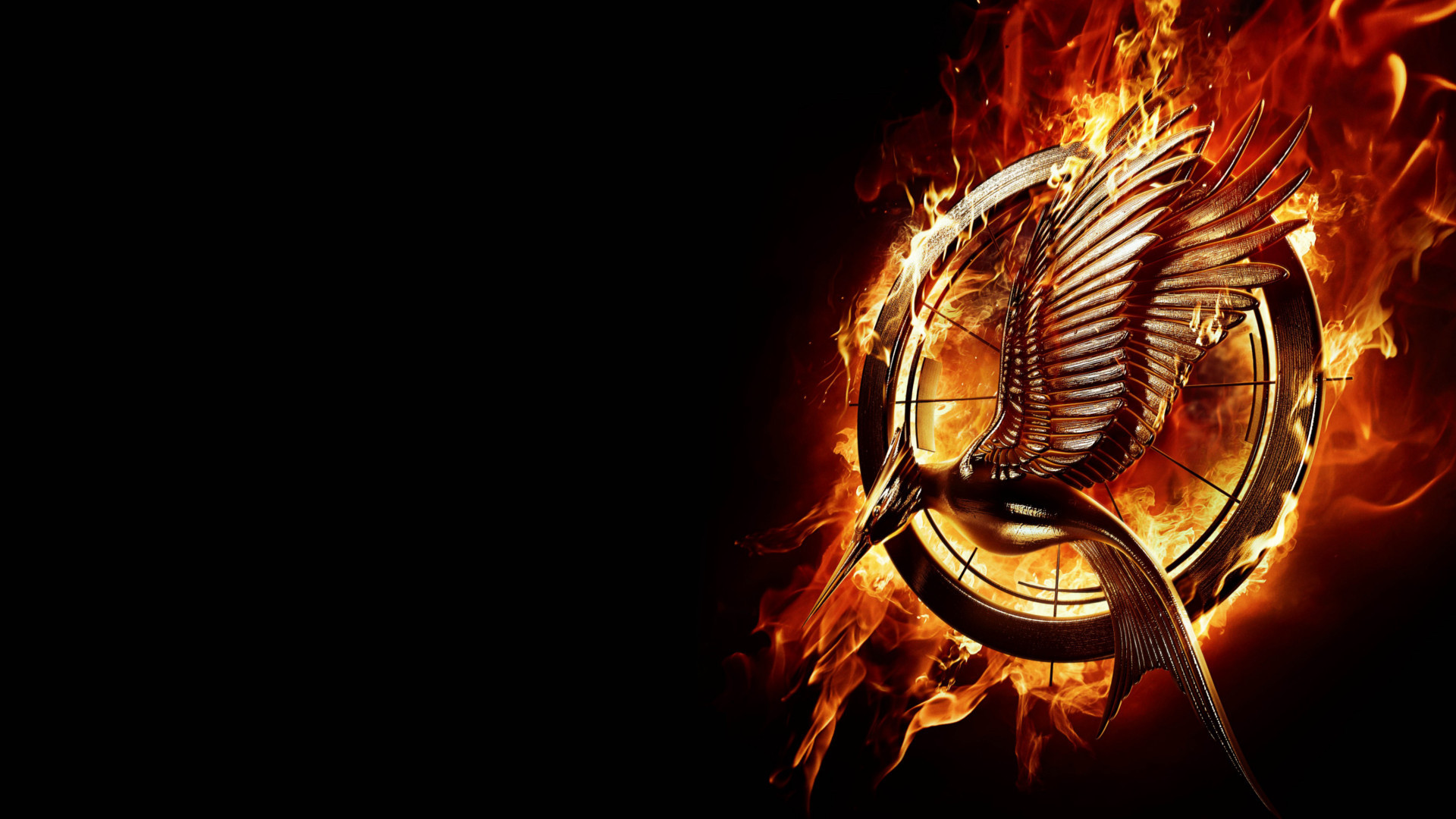 Download mobile wallpaper Movie, The Hunger Games, The Hunger Games: Catching Fire for free.