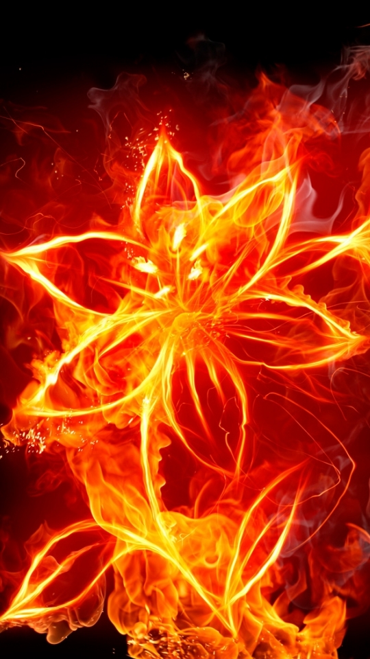Download mobile wallpaper Flowers, Fire, Flower, Colors, Artistic, Cgi for free.