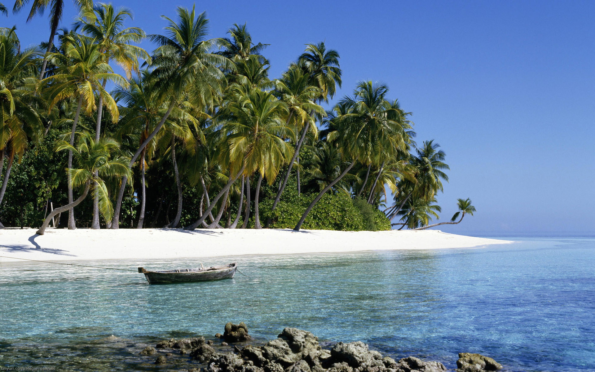 Скачать картинку Пляж, Пальмы, Дерево, Океан, Лодка, Тропический, Фотографии в телефон бесплатно.
