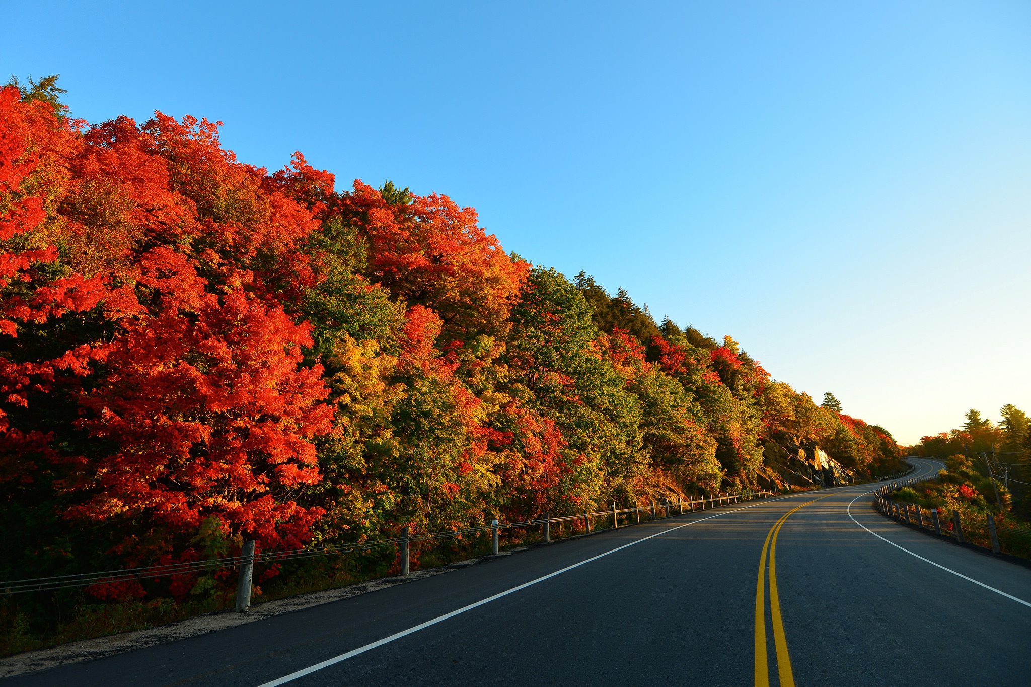 75841 скачать картинку осень, природа, деревья, дорога, поворот, разметки - обои и заставки бесплатно