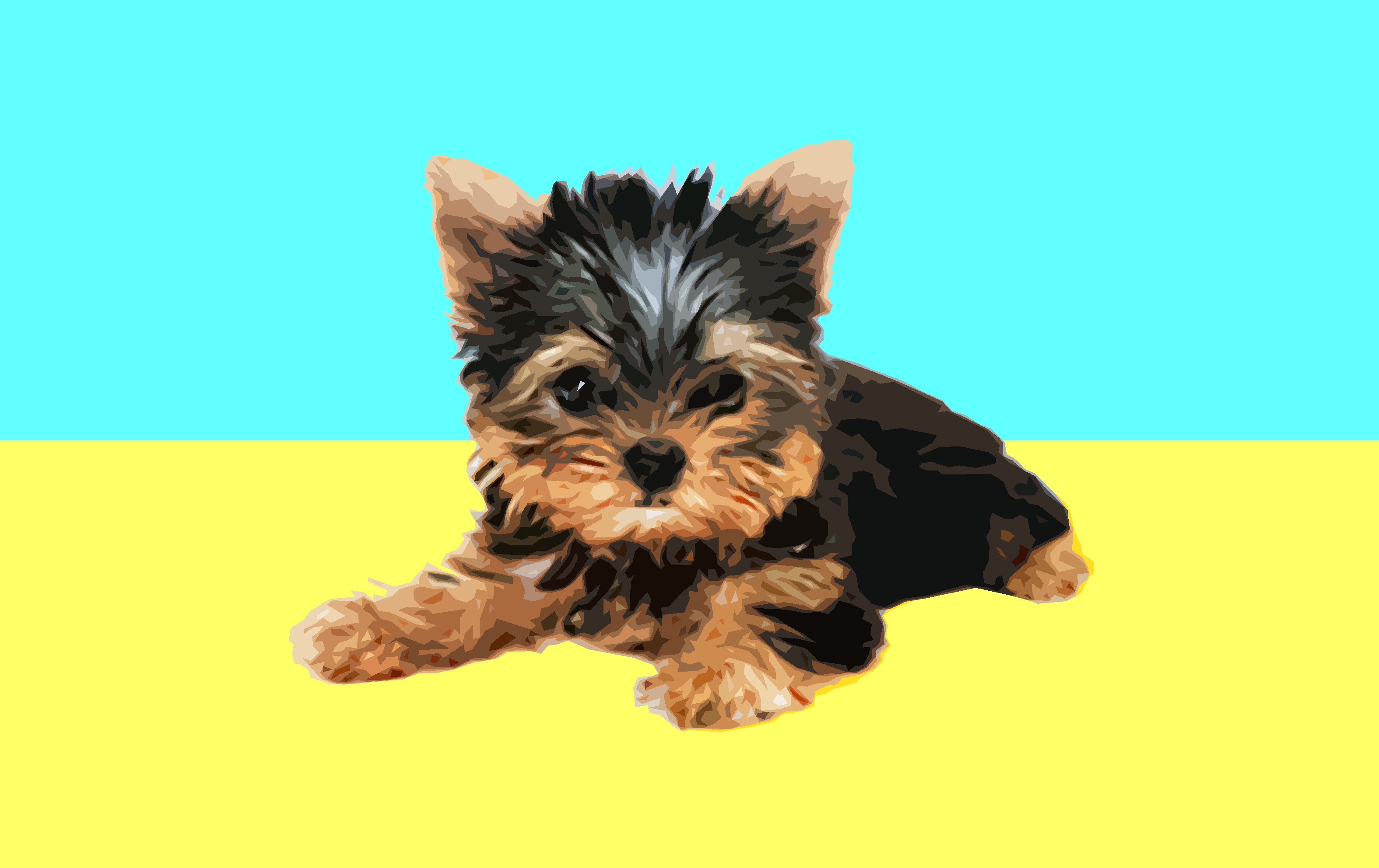 Baixe gratuitamente a imagem Animais, Cães, Cão, Simples, Filhote na área de trabalho do seu PC