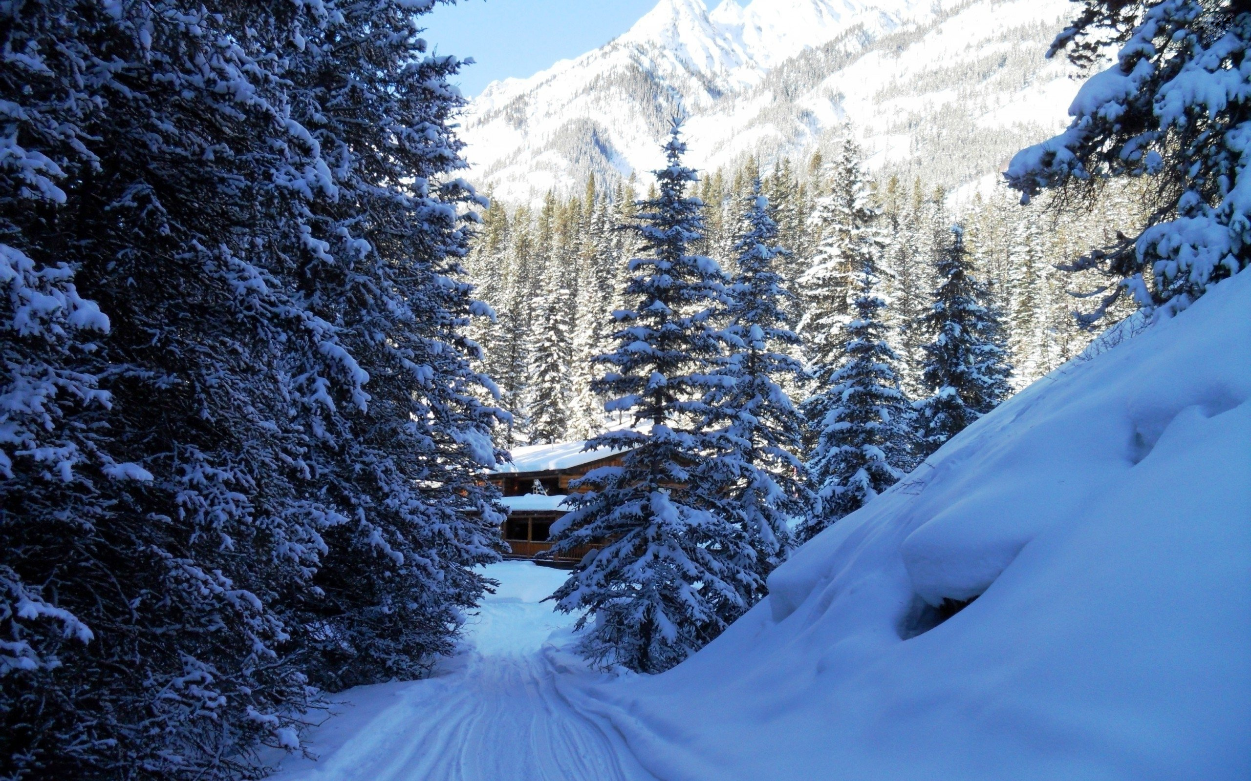 Descarga gratuita de fondo de pantalla para móvil de Invierno, Nieve, Bosque, Cabaña, Hecho Por El Hombre.