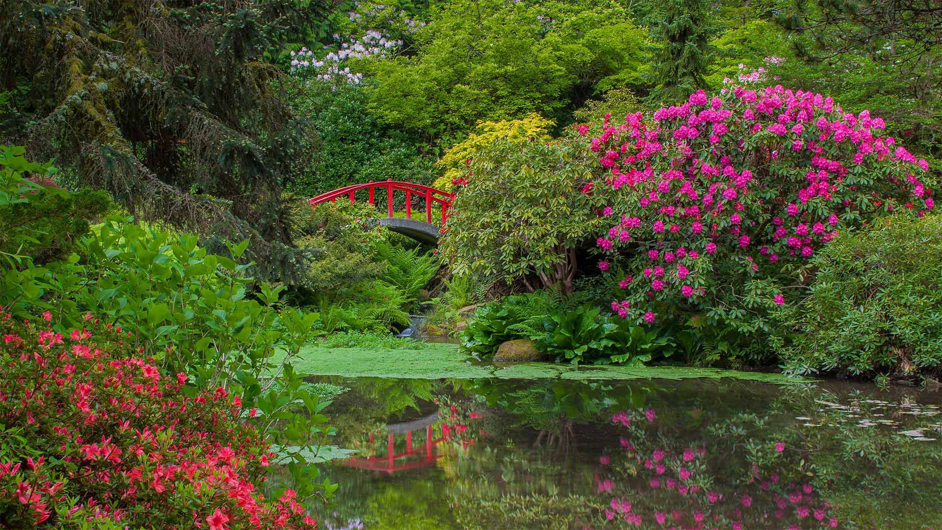 Descarga gratuita de fondo de pantalla para móvil de Parque, Fotografía.