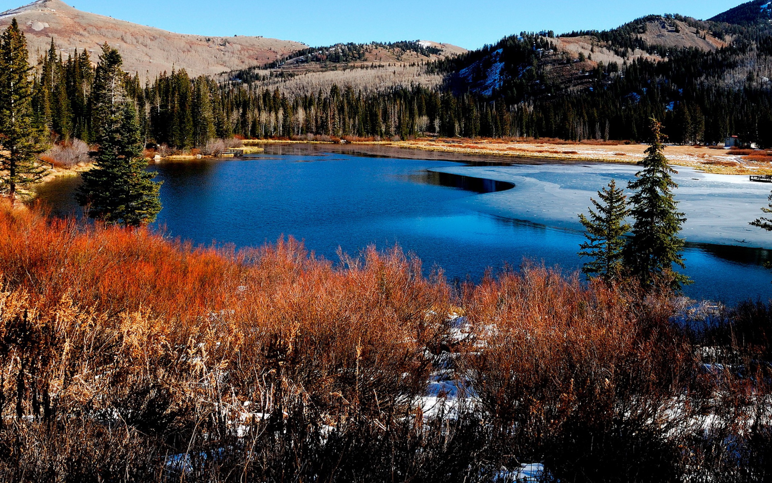 Descarga gratis la imagen Paisaje, Tierra/naturaleza en el escritorio de tu PC