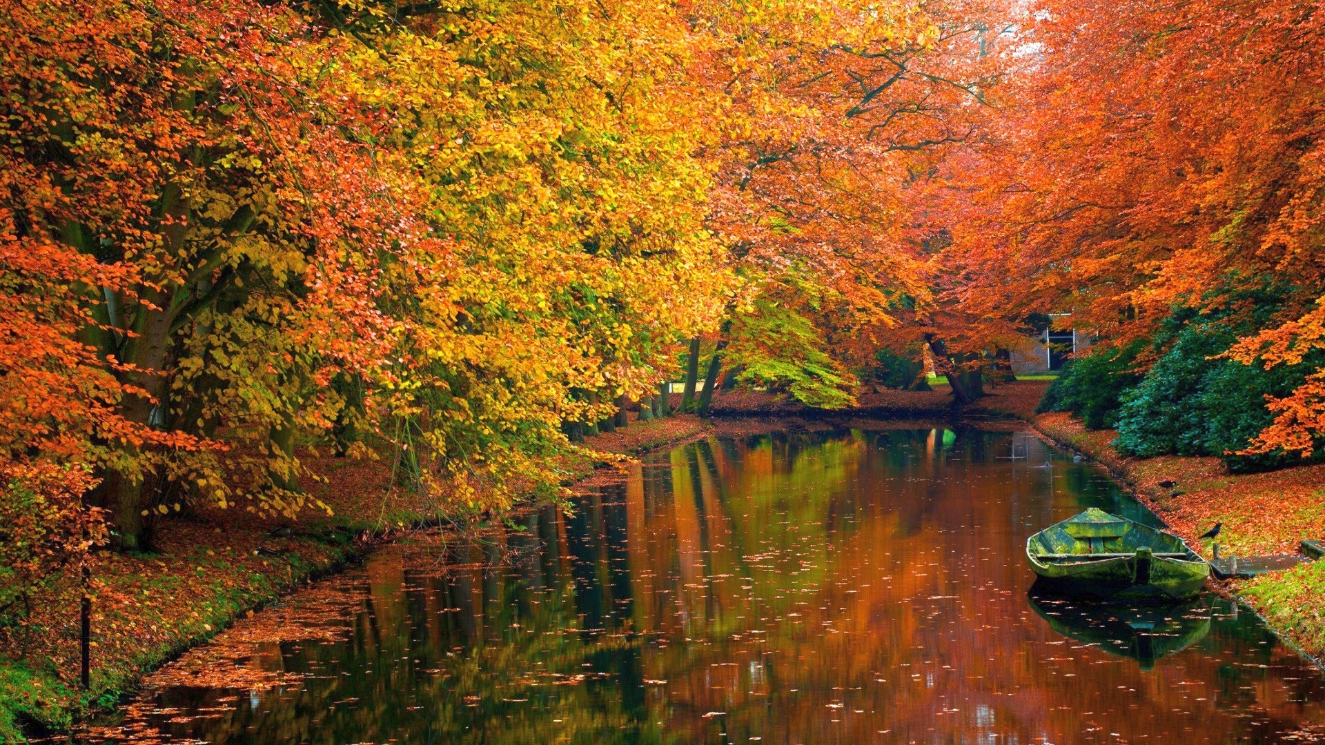 Free download wallpaper Nature, Trees, Autumn, Landscape on your PC desktop