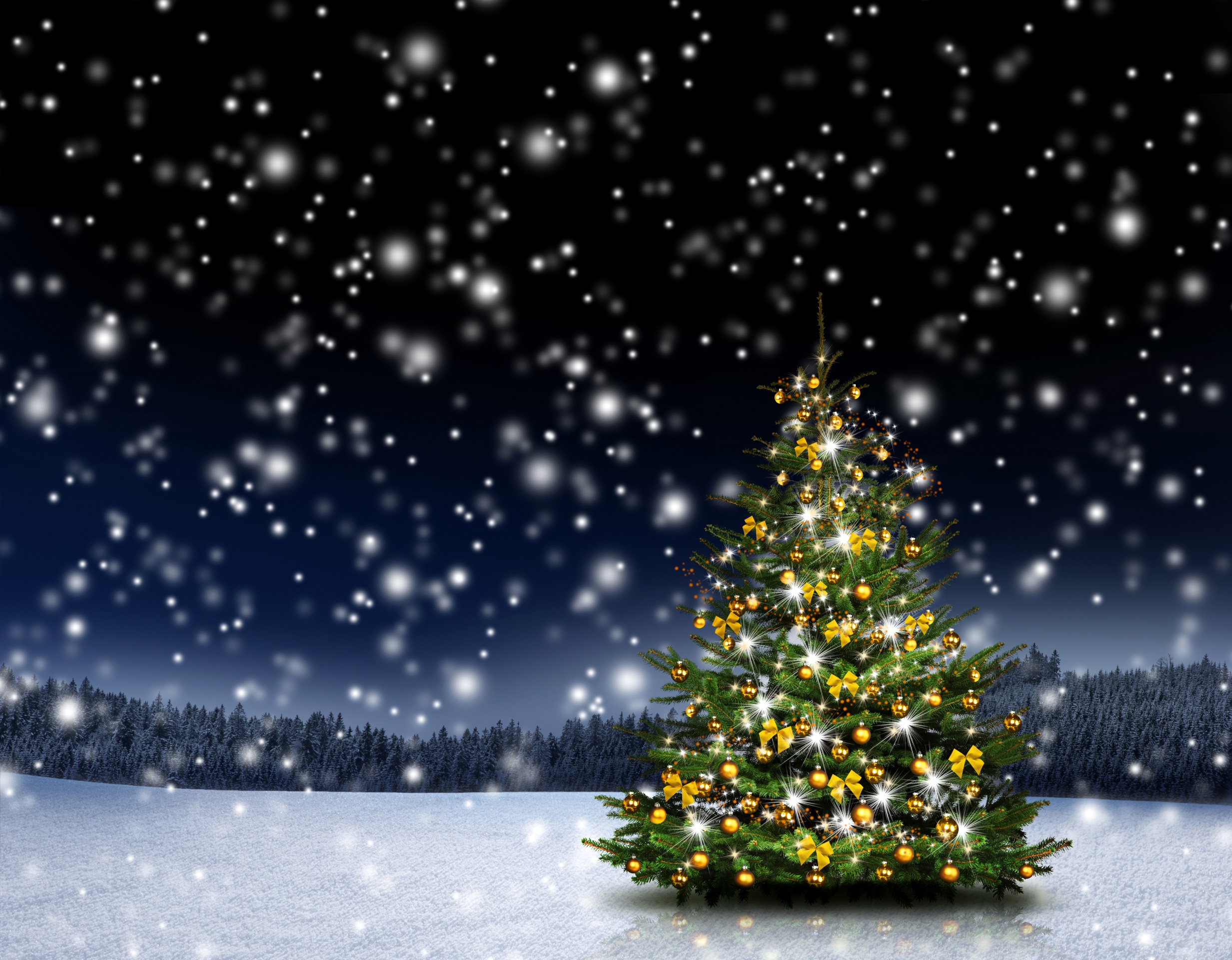 Скачать картинку Снег, Лес, Рождество, Рождественская Елка, Праздничные в телефон бесплатно.