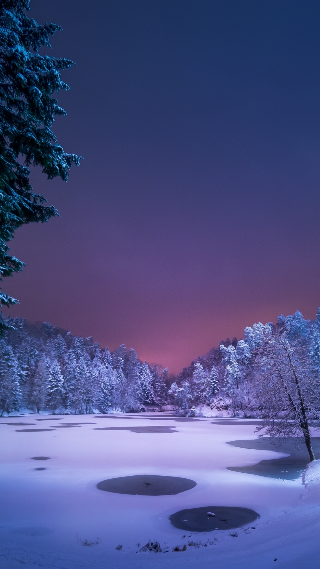 Download mobile wallpaper Winter, Snow, Forest, Tree, Earth, Dusk for free.