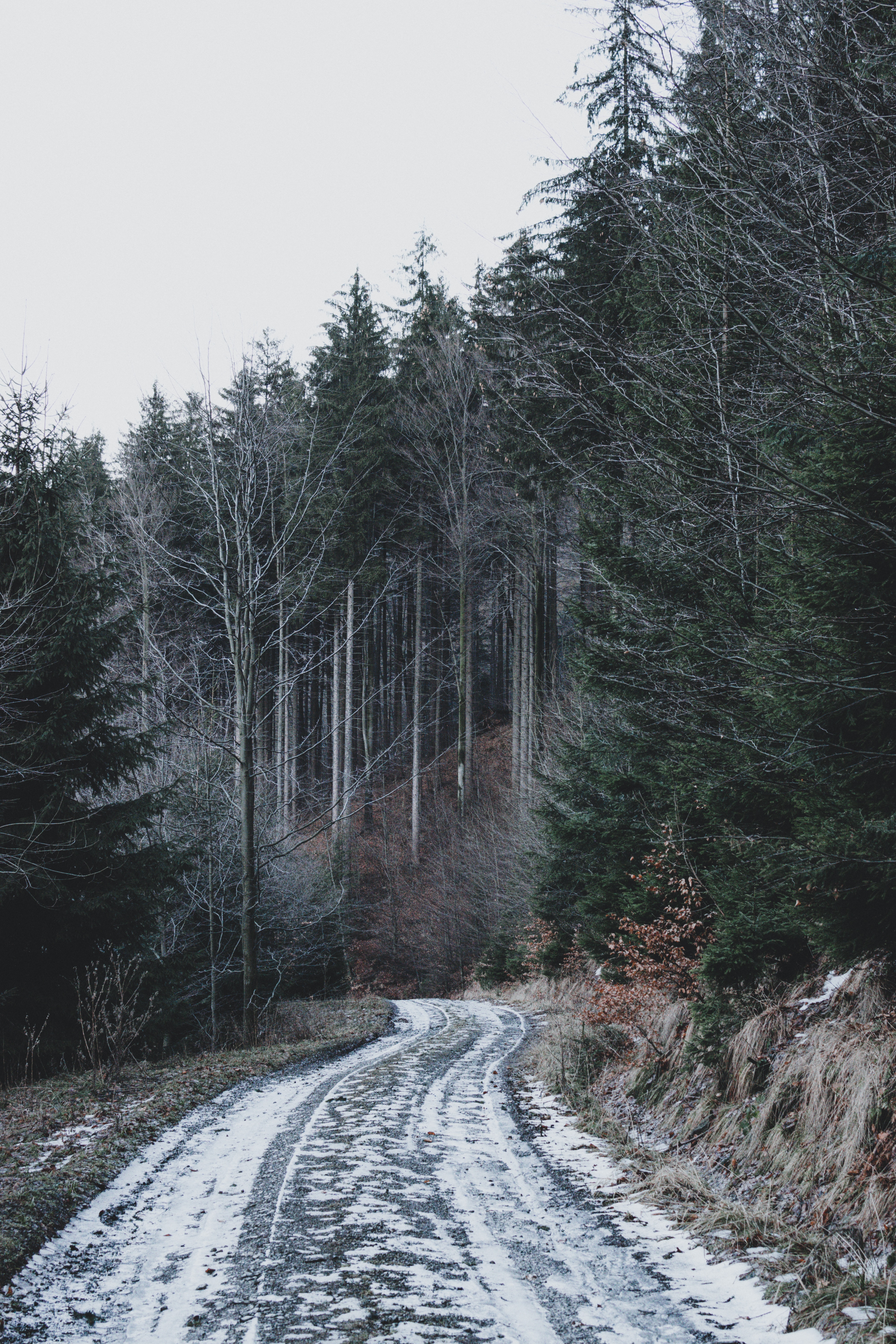 Download mobile wallpaper Nature, Forest, Road, Snow, Winter for free.