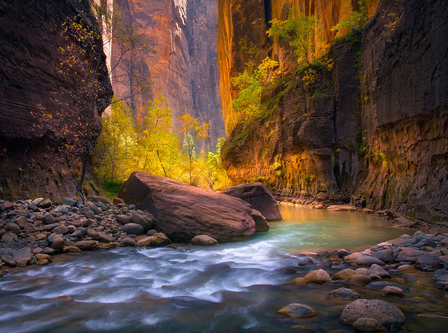 earth, river, canyon, nature, virgin river, zion national park