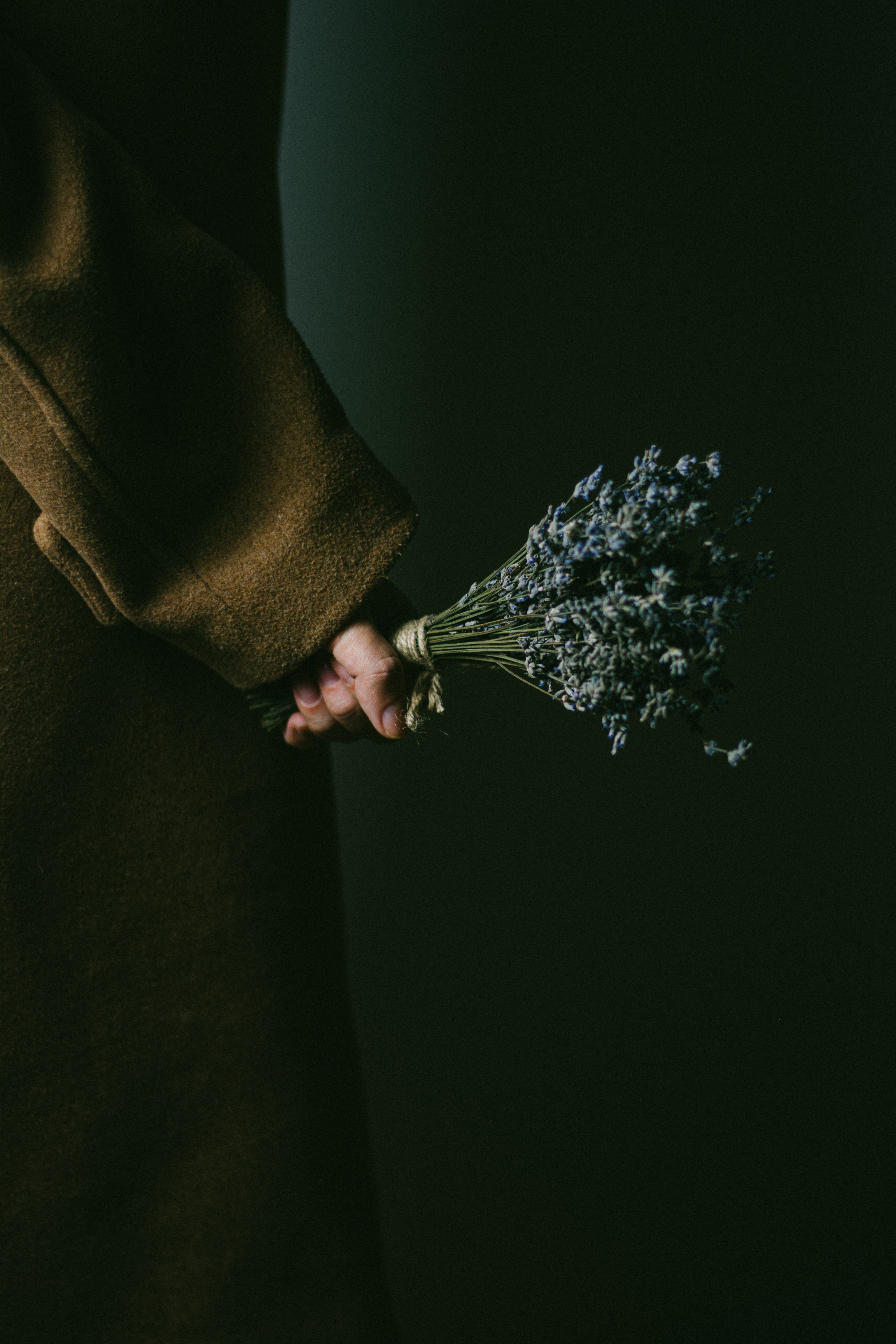 Full HD hand, flowers, dark, bouquet, lavender