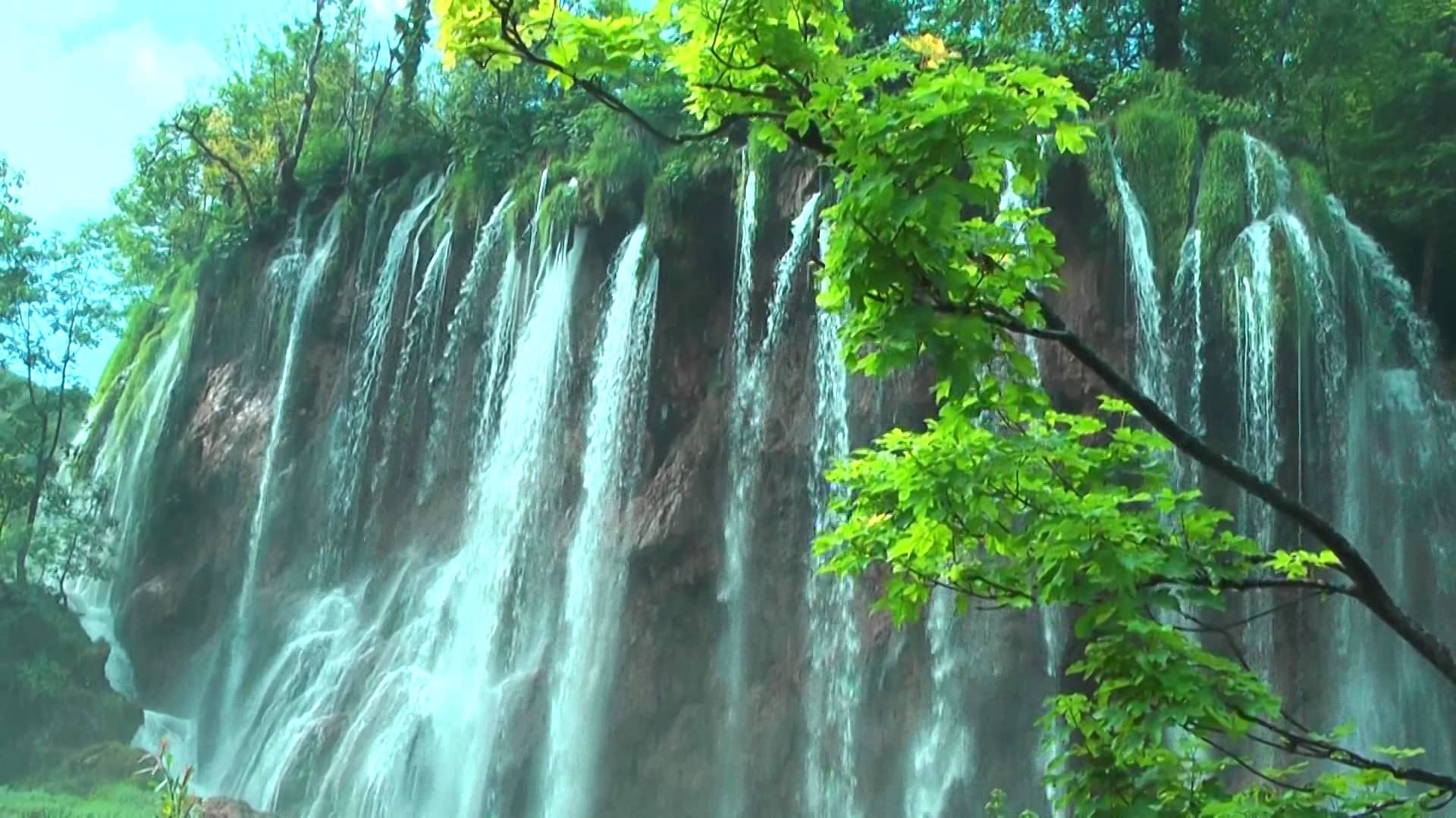 Скачать обои бесплатно Водопады, Водопад, Ветка, Зеленый, Земля/природа, Национальный Парк Плитвицкие Озера картинка на рабочий стол ПК