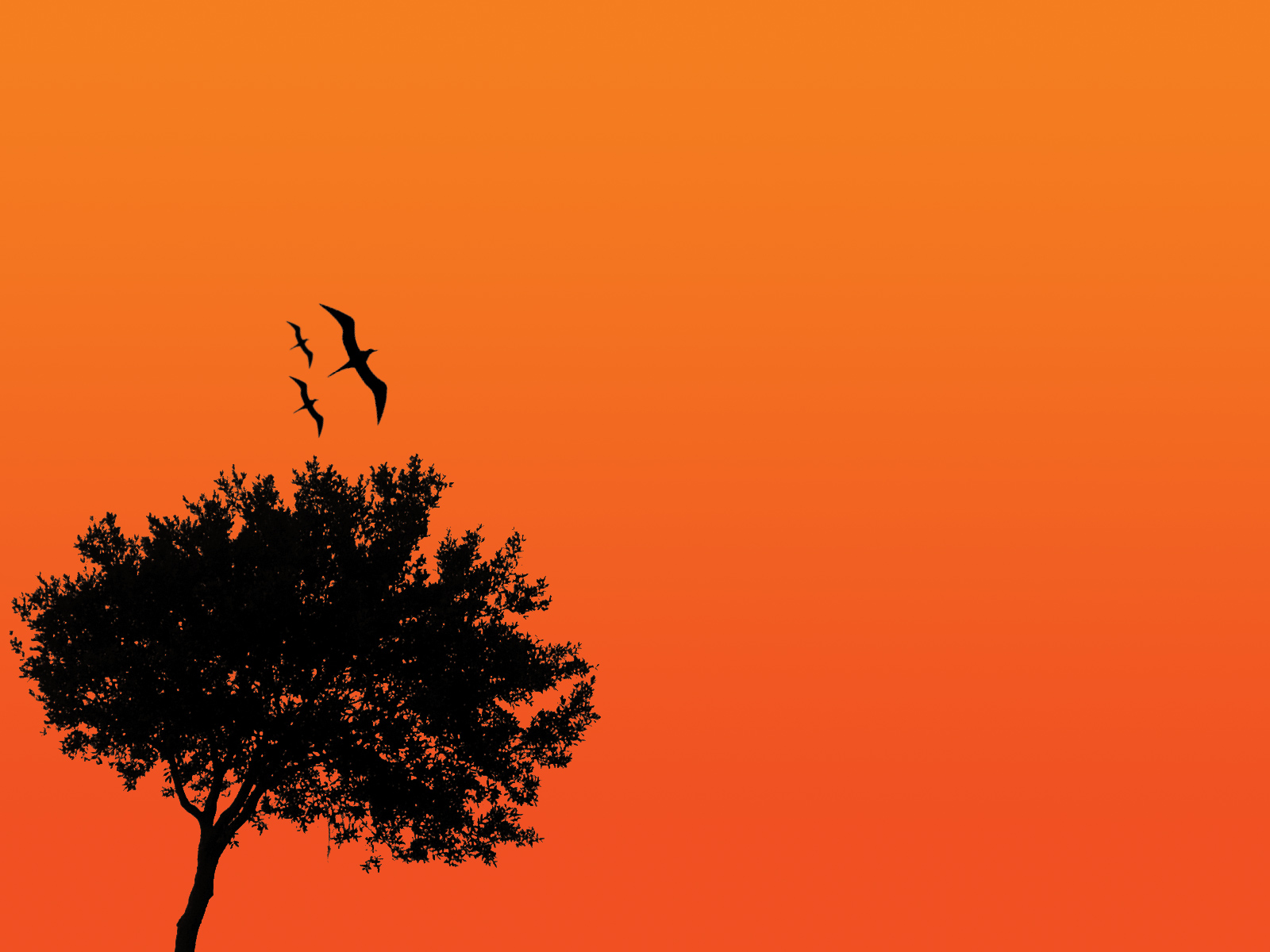 Скачать обои бесплатно Природа, Птицы, Дерево, Художественные, Оранжевый Цвет) картинка на рабочий стол ПК