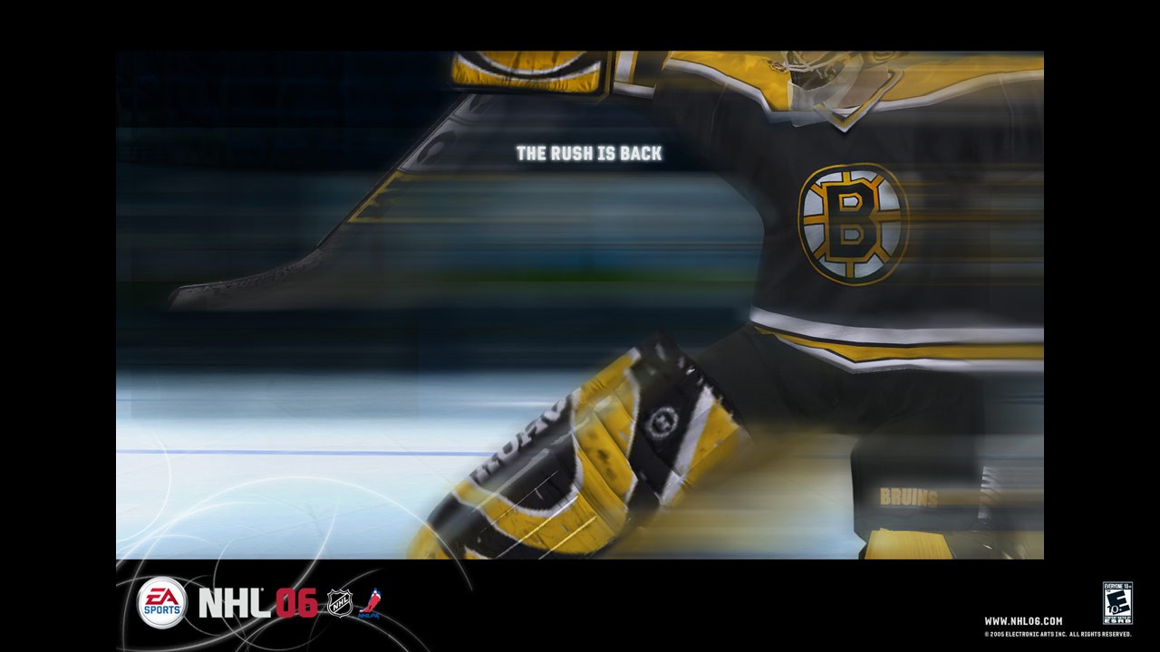 Baixar papéis de parede de desktop Nhl 06 HD