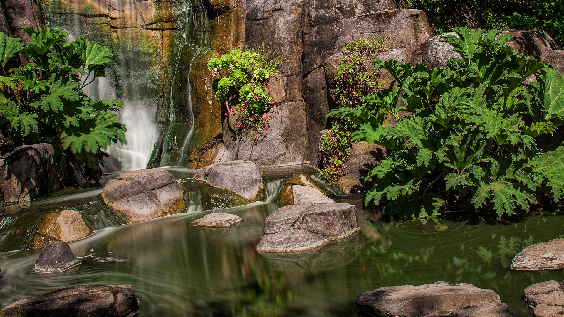 Die besten Golden Gate Park-Hintergründe für den Telefonbildschirm