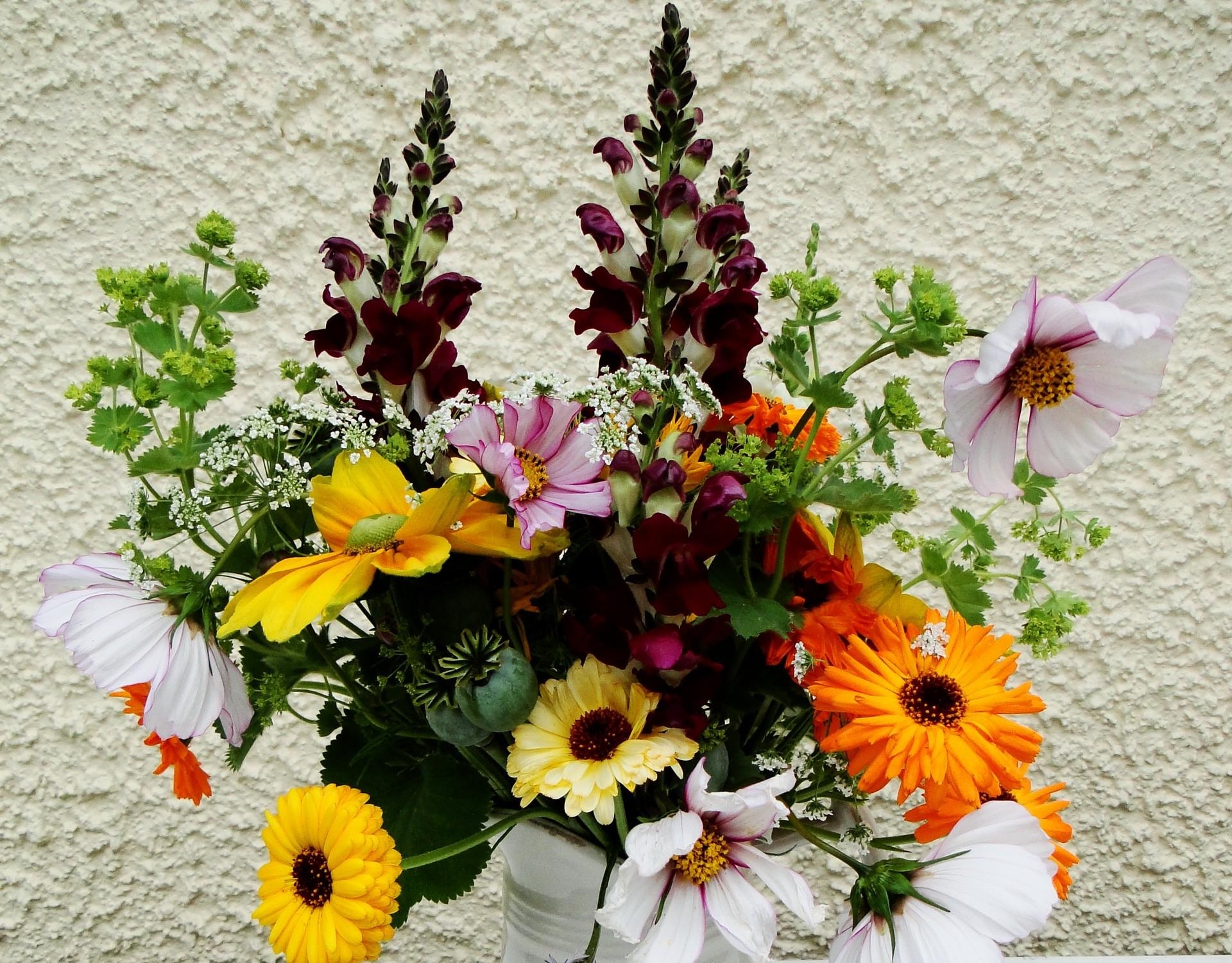 flowers, gerberas, bouquet, composition, different, poppy