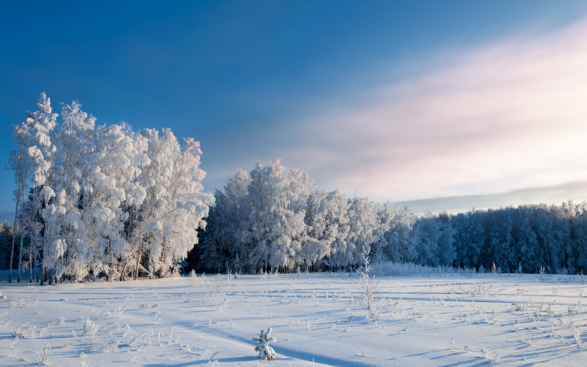 Téléchargez gratuitement l'image Hiver, Terre/nature sur le bureau de votre PC