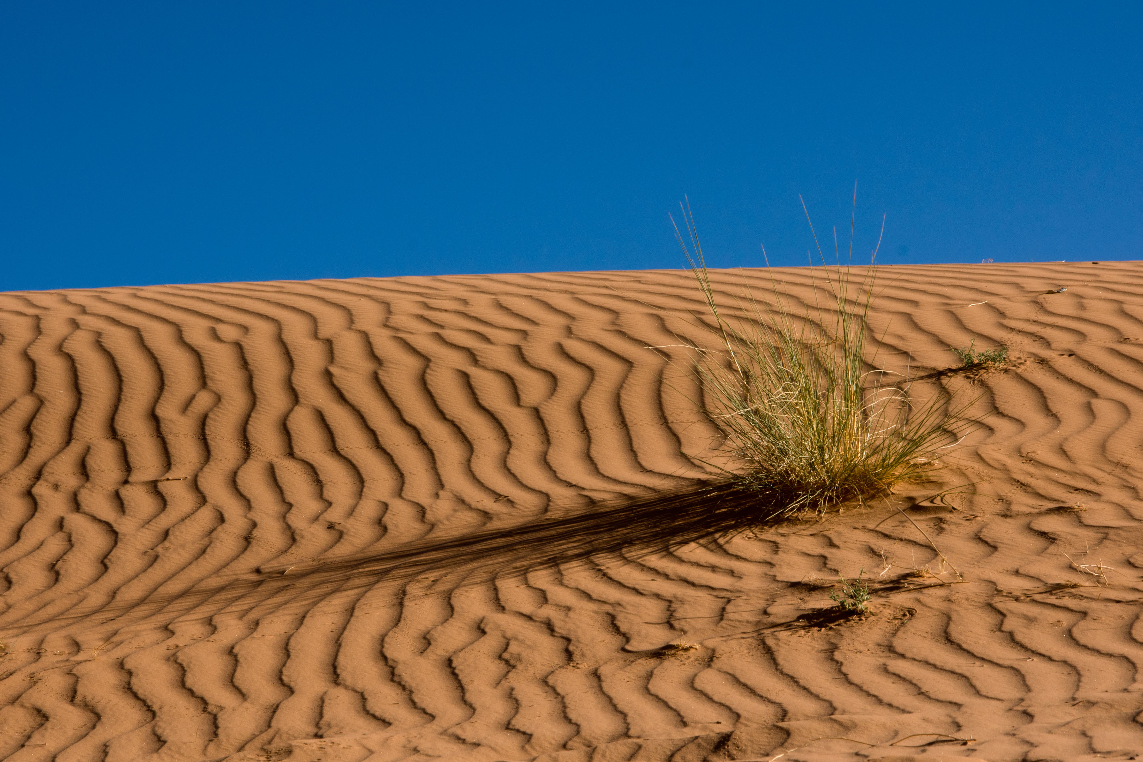 Скачать картинку Небо, Песок, Пустыня, Дюна, Сахара, Африка, Алжир, Земля/природа в телефон бесплатно.