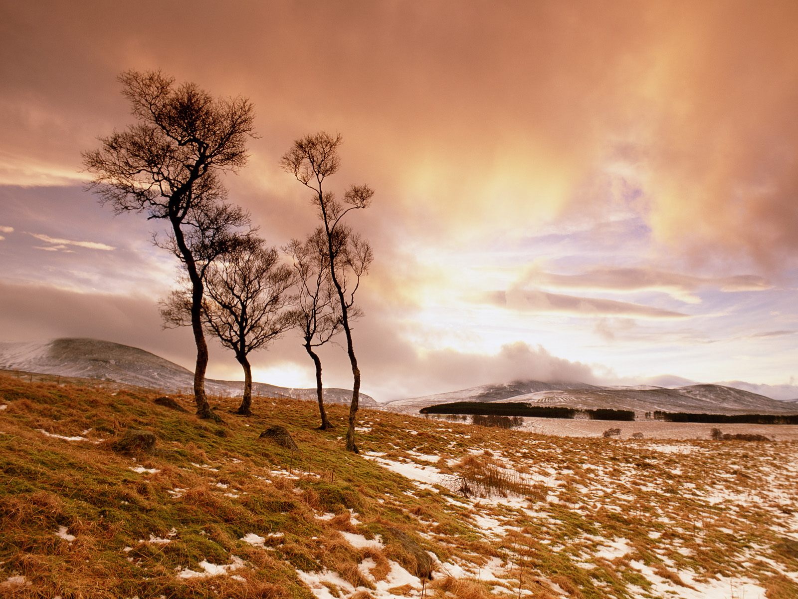 Téléchargez gratuitement l'image Paysage, Terre/nature sur le bureau de votre PC