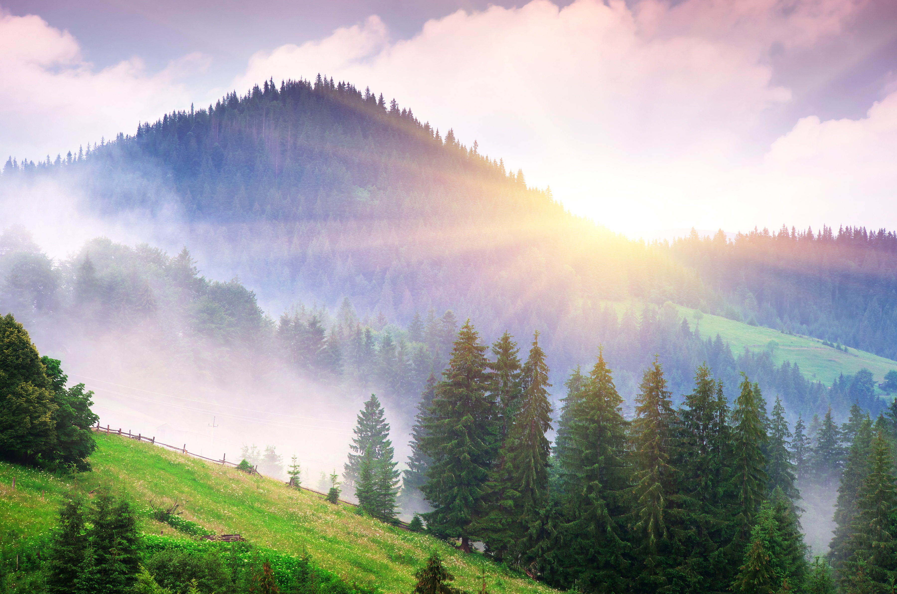 Descarga gratuita de fondo de pantalla para móvil de Naturaleza, Montaña, Árbol, Niebla, Rayo De Sol, Tierra/naturaleza.