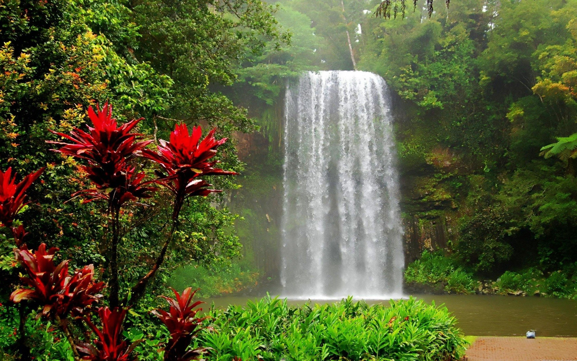 Download mobile wallpaper Waterfalls, Flower, Waterfall, Forest, Earth, Tropical for free.