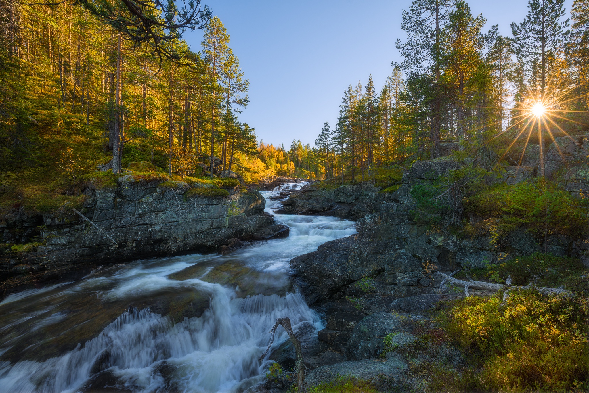 Handy-Wallpaper Natur, Wald, Baum, Fluss, Sonnenstrahl, Erde/natur kostenlos herunterladen.