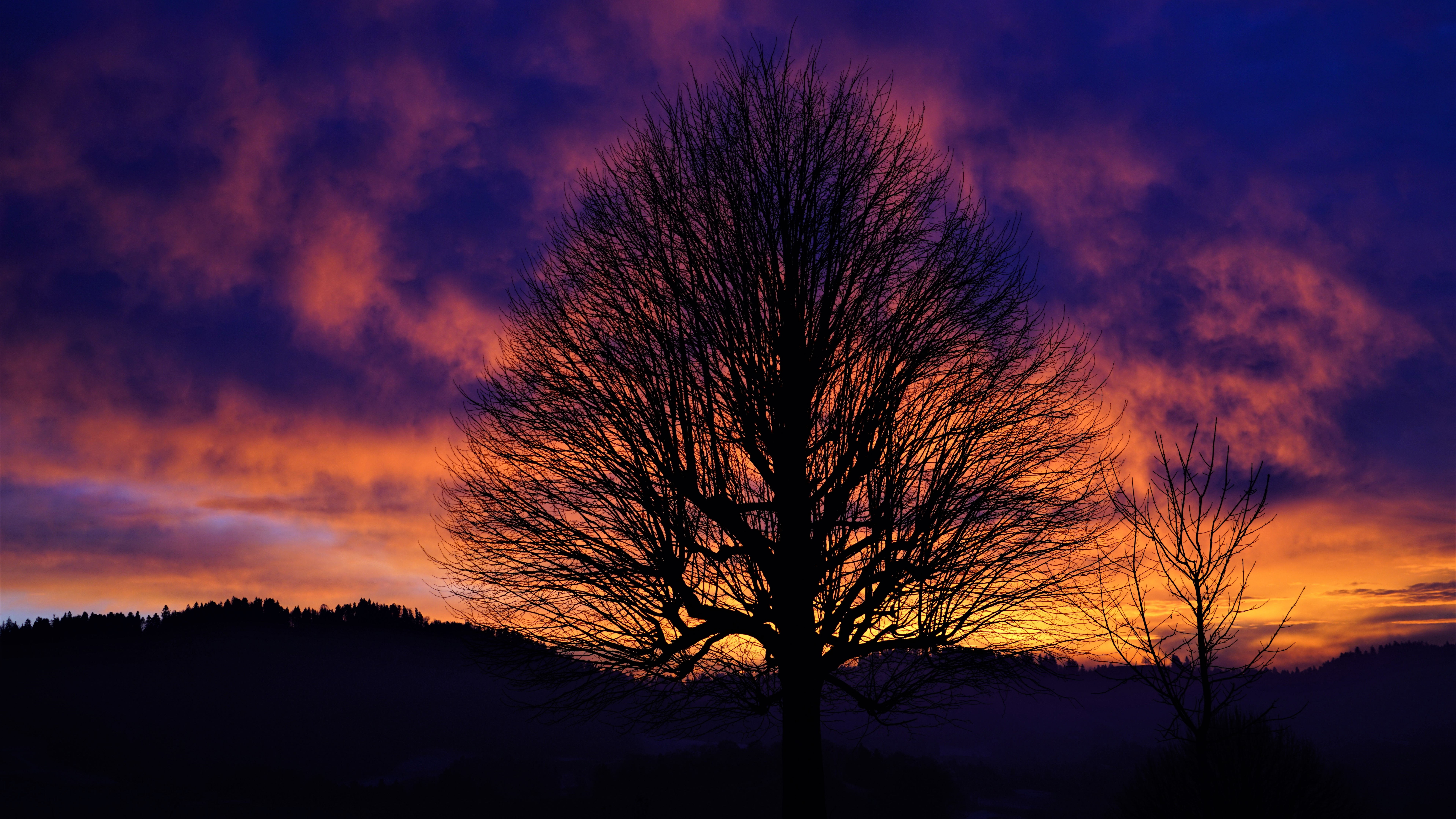 Download mobile wallpaper Trees, Sunset, Sky, Silhouette, Tree, Earth, Cloud for free.