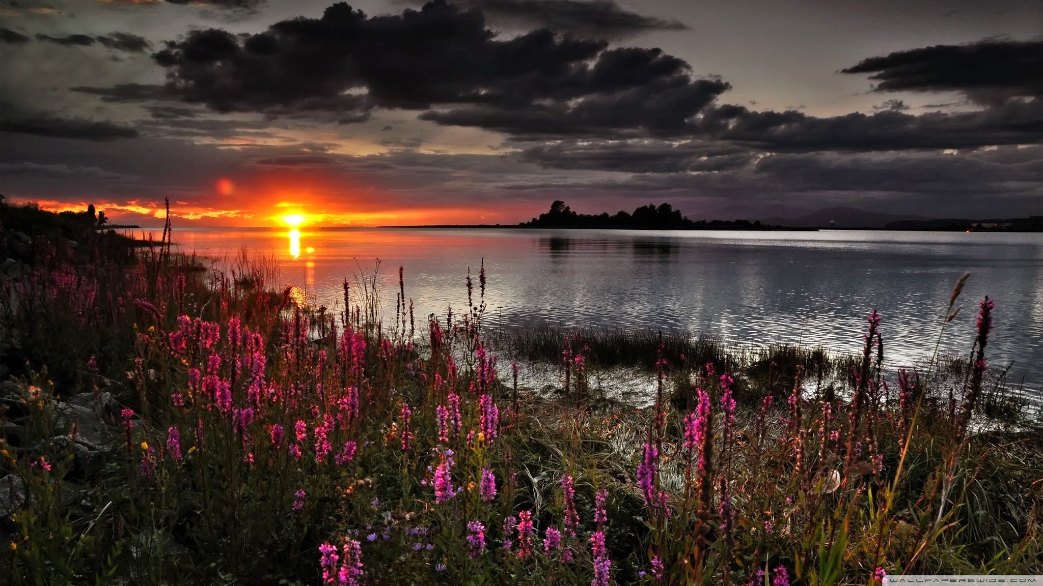 Téléchargez des papiers peints mobile Coucher De Soleil, Terre/nature gratuitement.