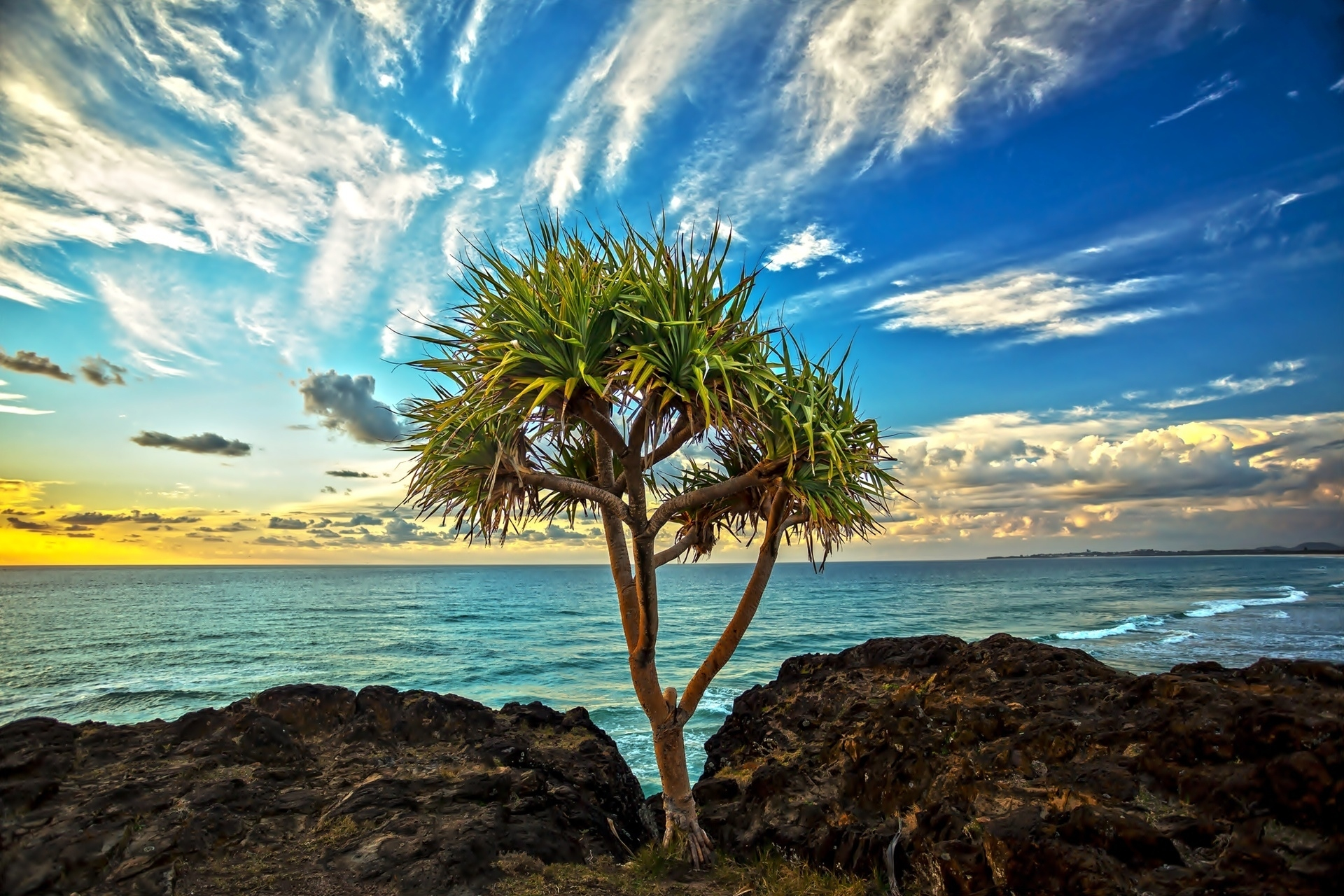 Download mobile wallpaper Trees, Sea, Horizon, Coast, Tree, Ocean, Earth for free.