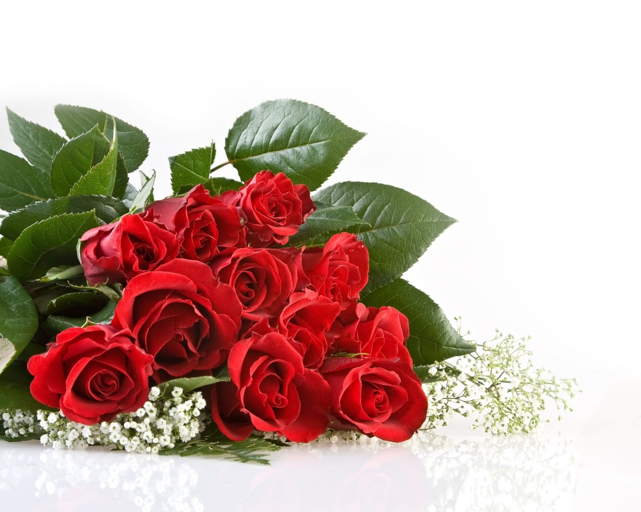 Download mobile wallpaper Holidays, Flowers, Roses for free.