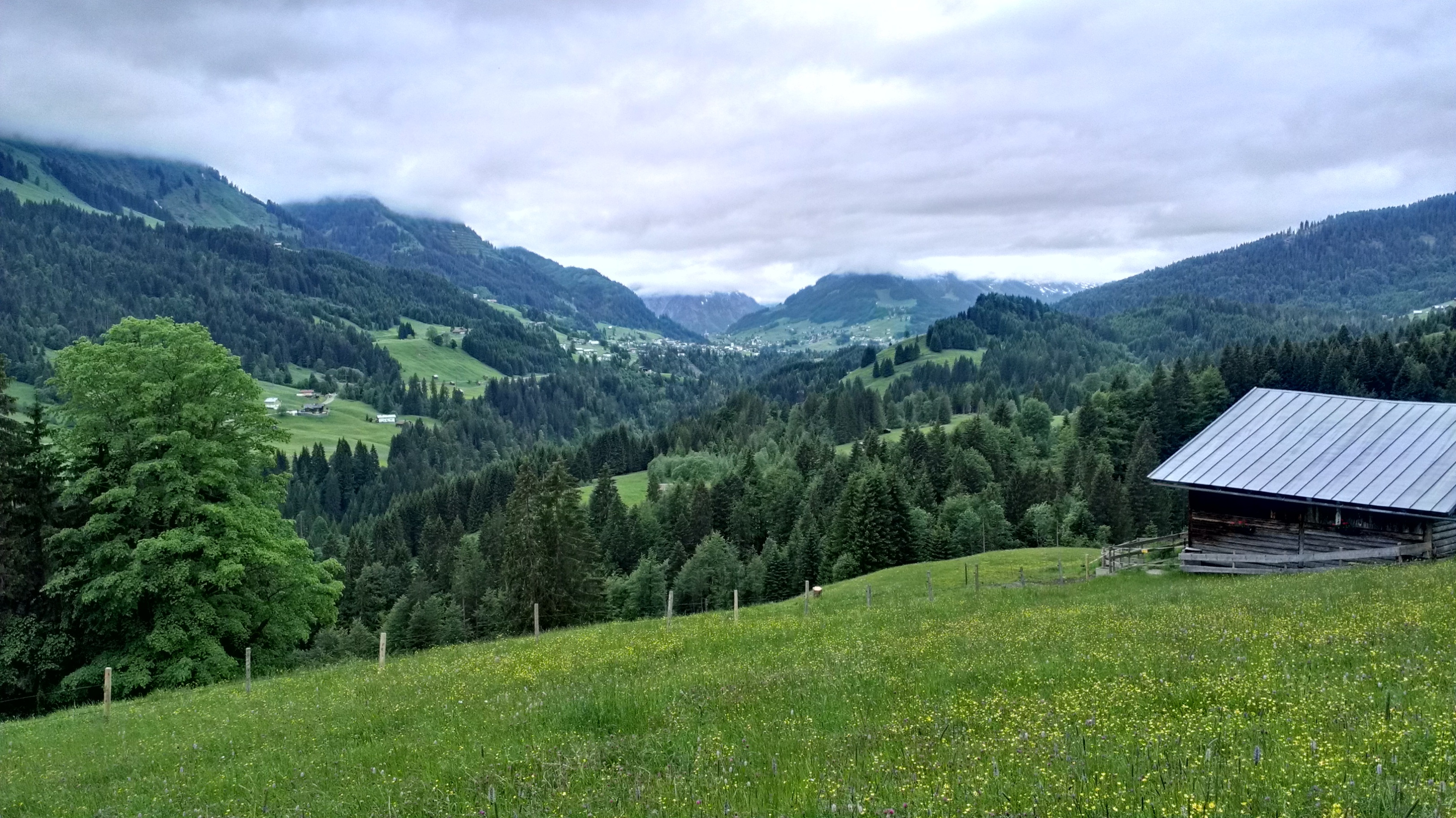 nature, grass, mountains, elevation, germany, allgäu, allgoy HD wallpaper