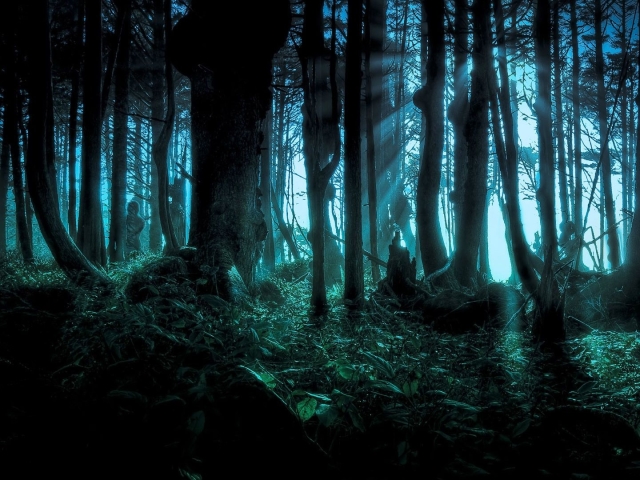 Free download wallpaper Fantasy, Forest on your PC desktop