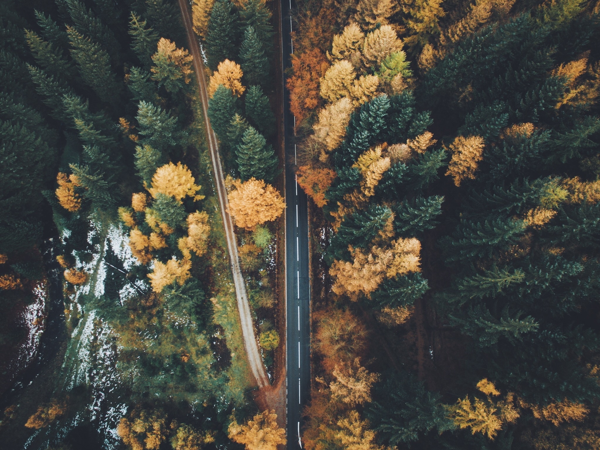 Download mobile wallpaper Nature, Road, Forest, Tree, Fall, Aerial, Man Made for free.