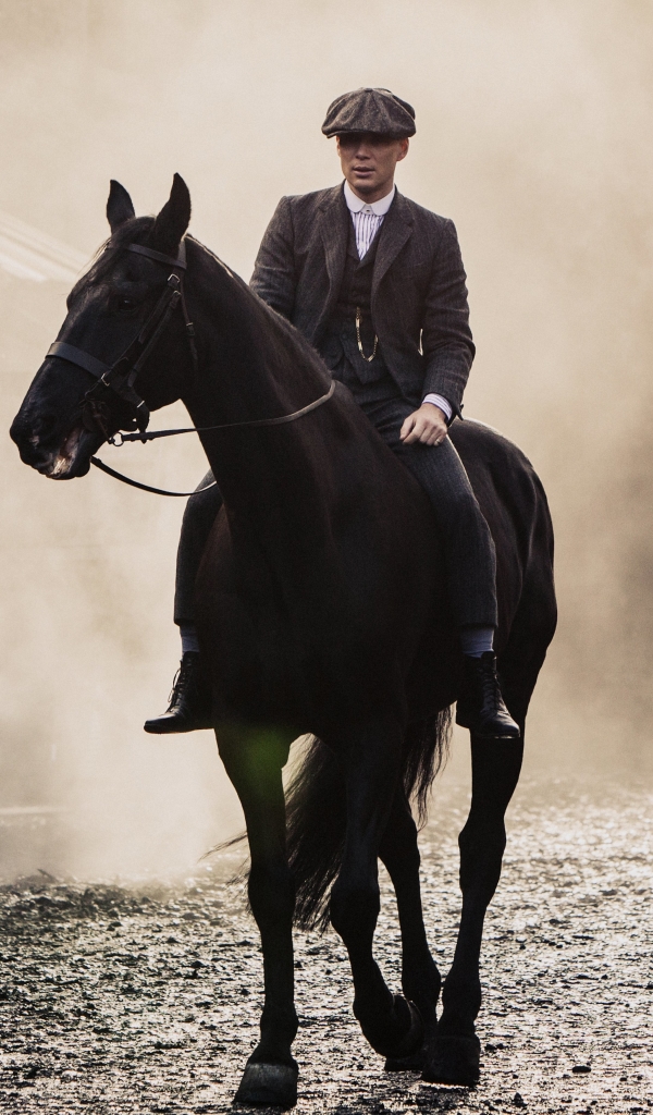 Download mobile wallpaper Horse, Tv Show, Cillian Murphy, Peaky Blinders for free.