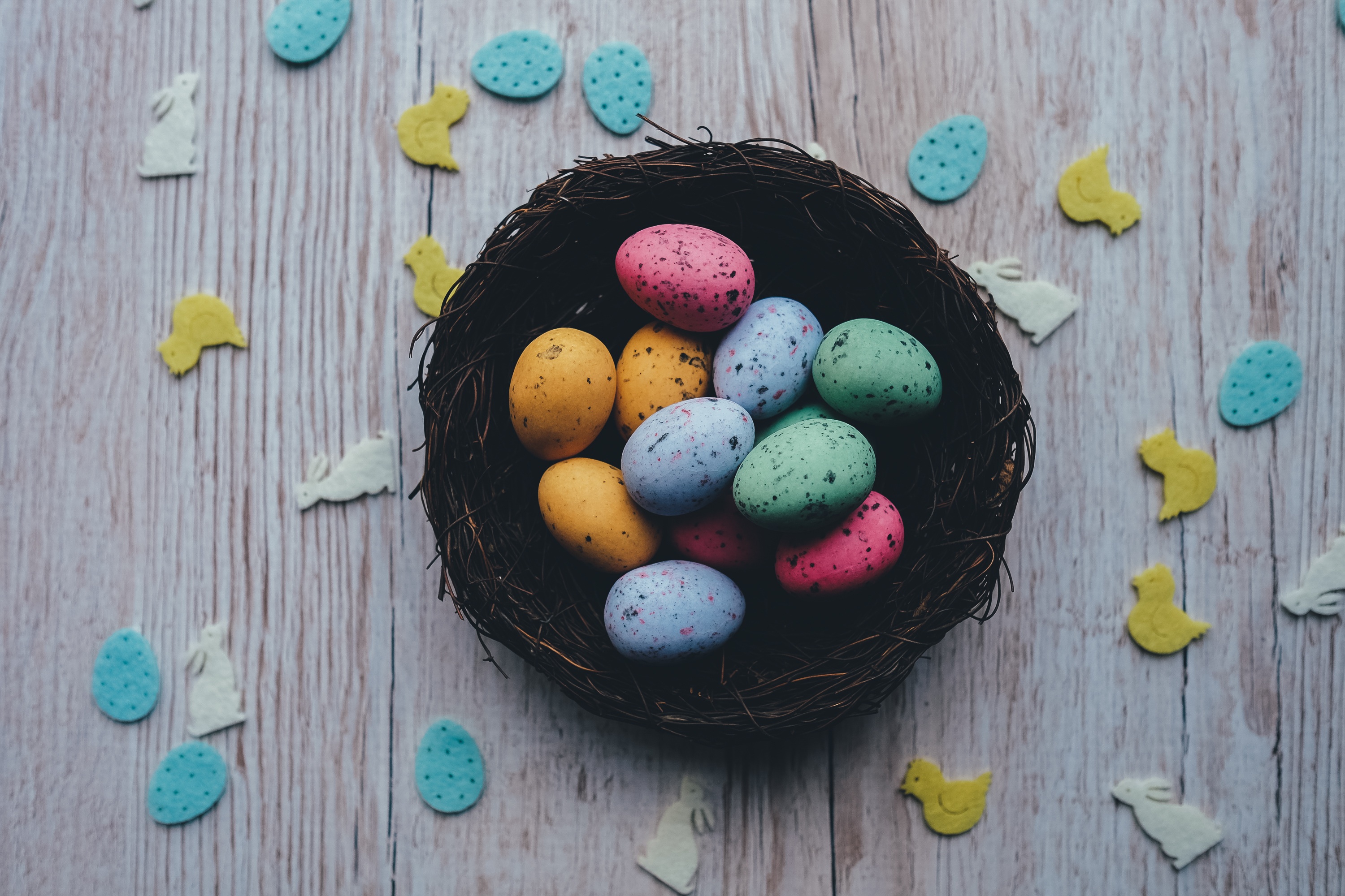 Descarga gratis la imagen Vacaciones, Pascua, Huevos De Codorniz, Huevos De Colores, Huevos Pintados en el escritorio de tu PC